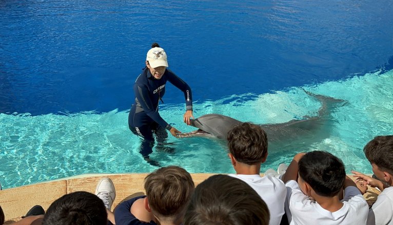 Aprendizaje sobre mamíferos marinos en Escuelas azules del Rancho Texas Park