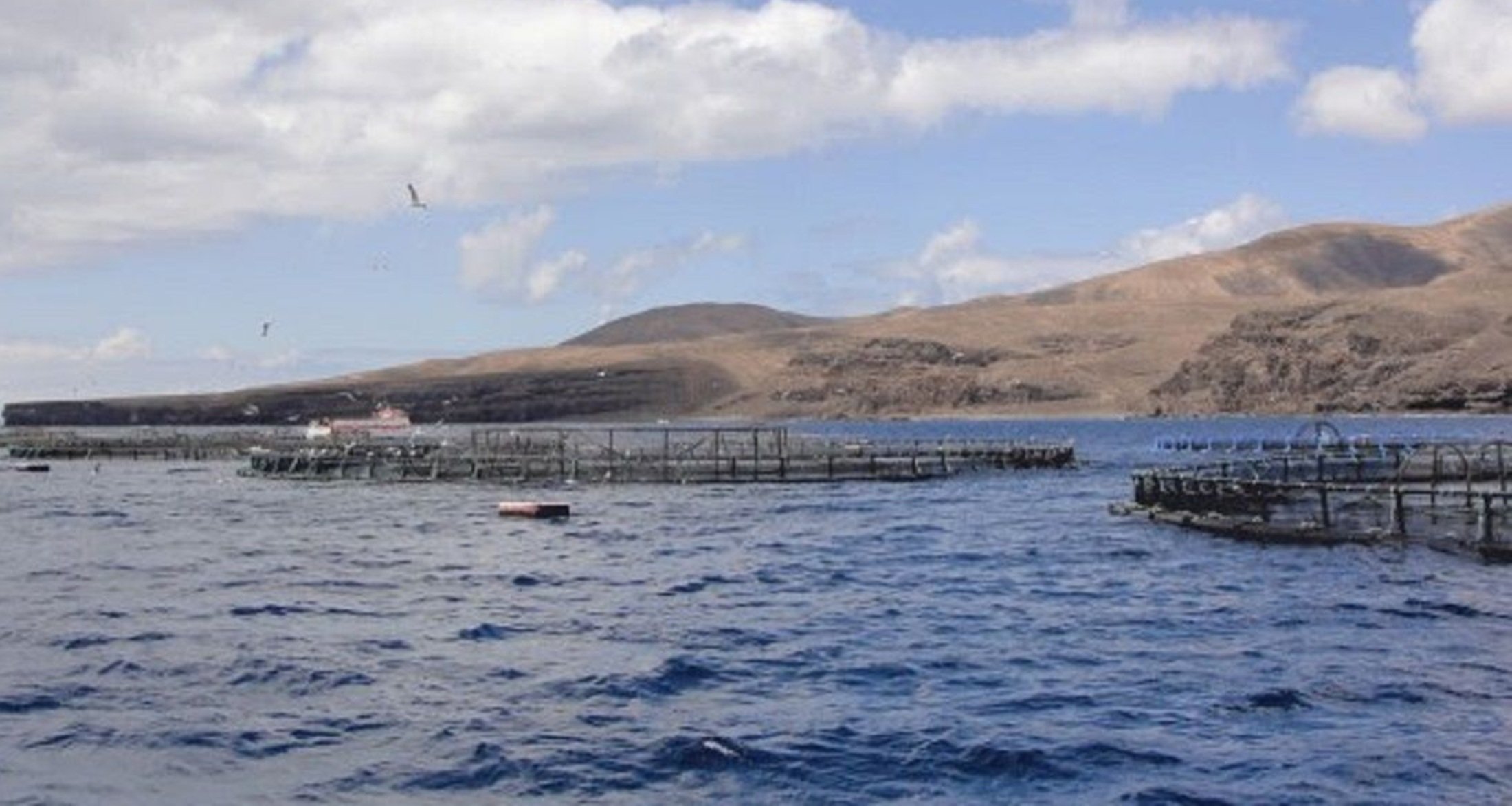 Jaulas marinas en Lanzarote