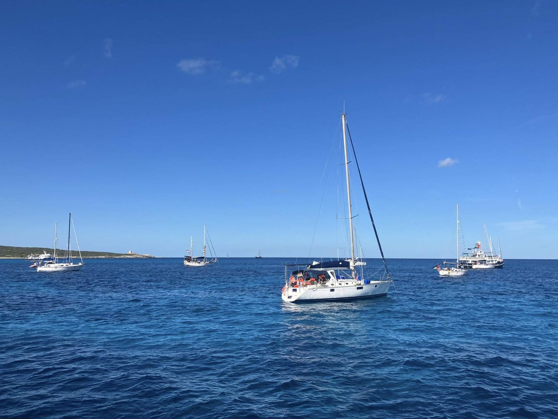 Flotilla en la que viajaba la activista para llevar ayuda humanitaria a Gaza