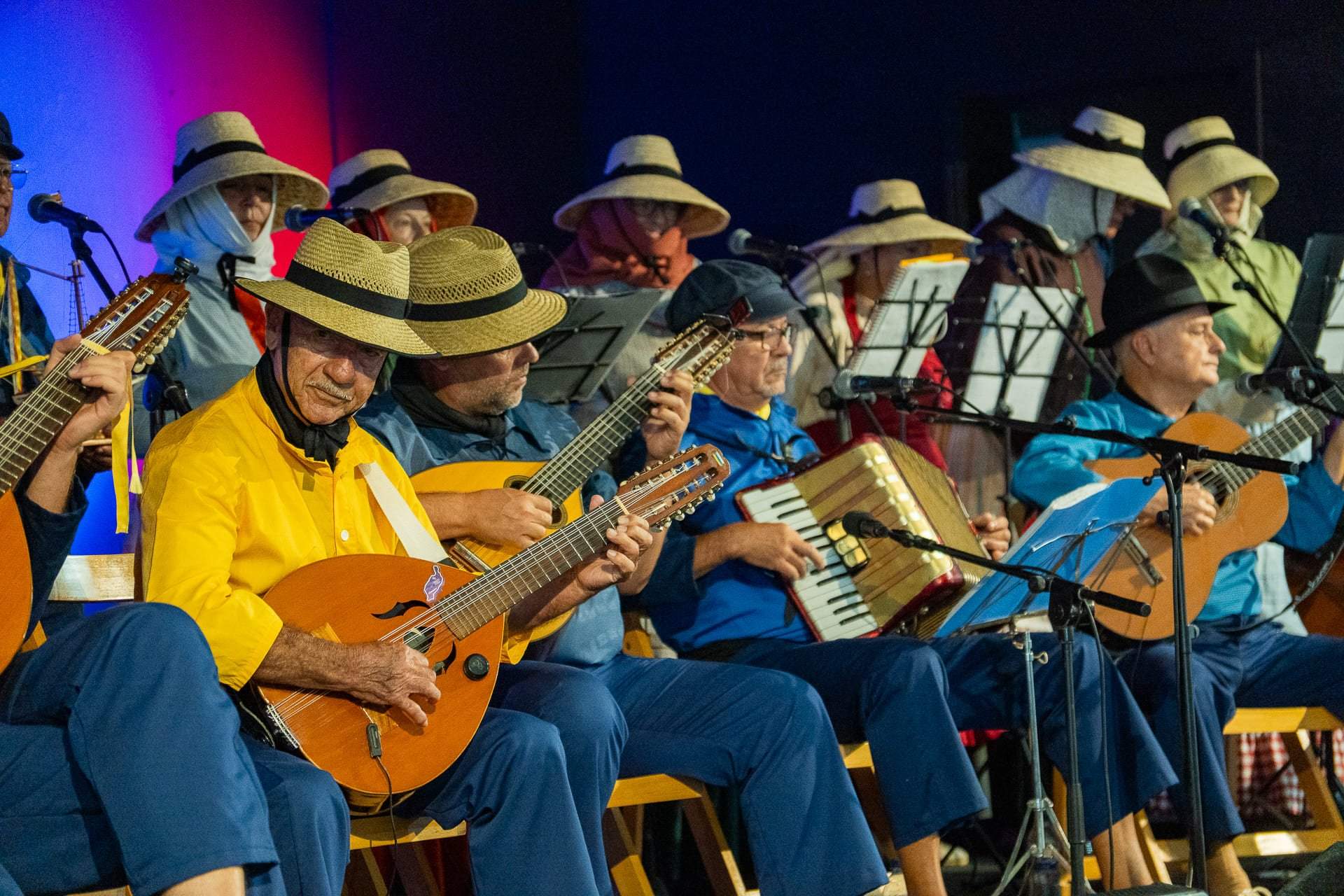 Pregón de las fiestas de Argana Baja