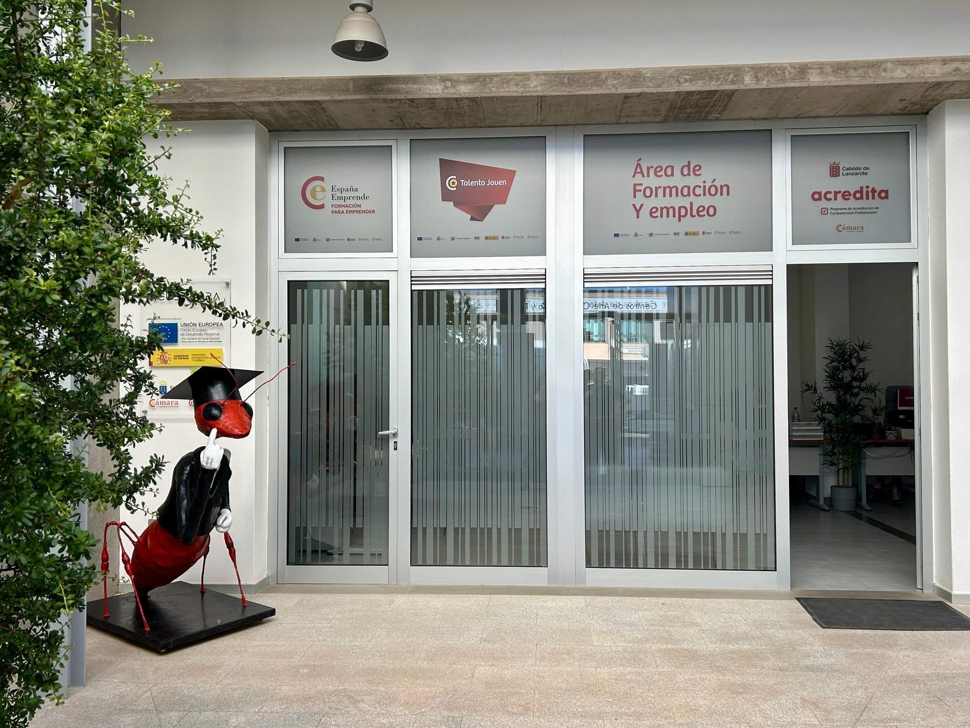 Área de Empleo de la Cámara de Lanzarote.