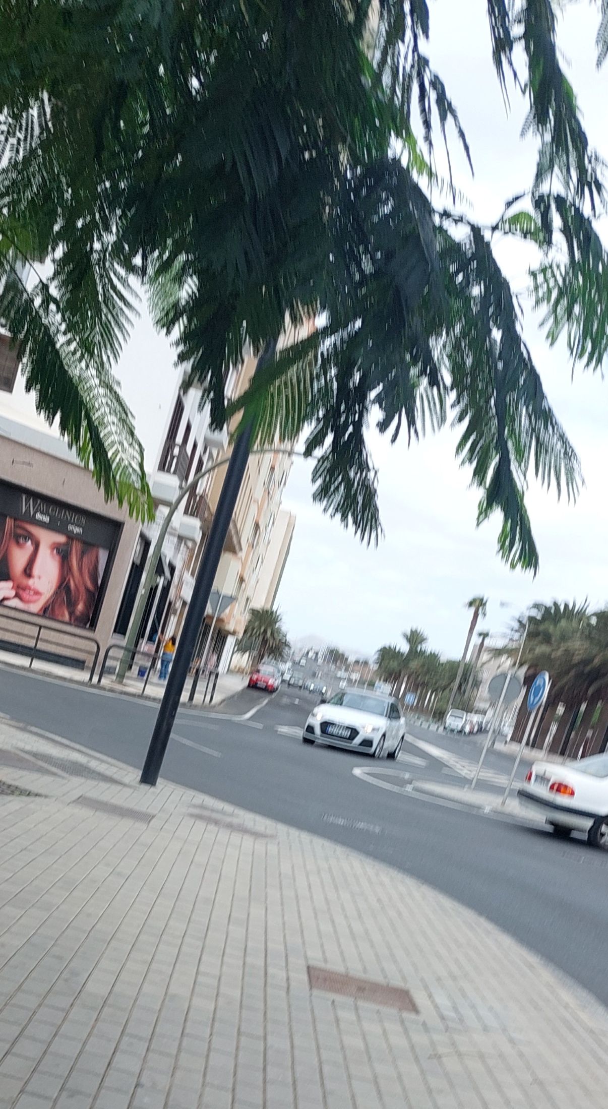 Rotonda hamburguesa, al fondo caladero de multas.