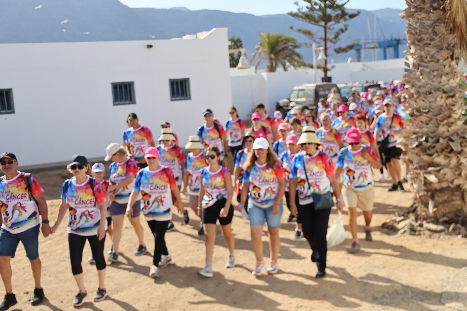 IX Caminata Caminamos con el Cáncer. Foto: Norberto de León