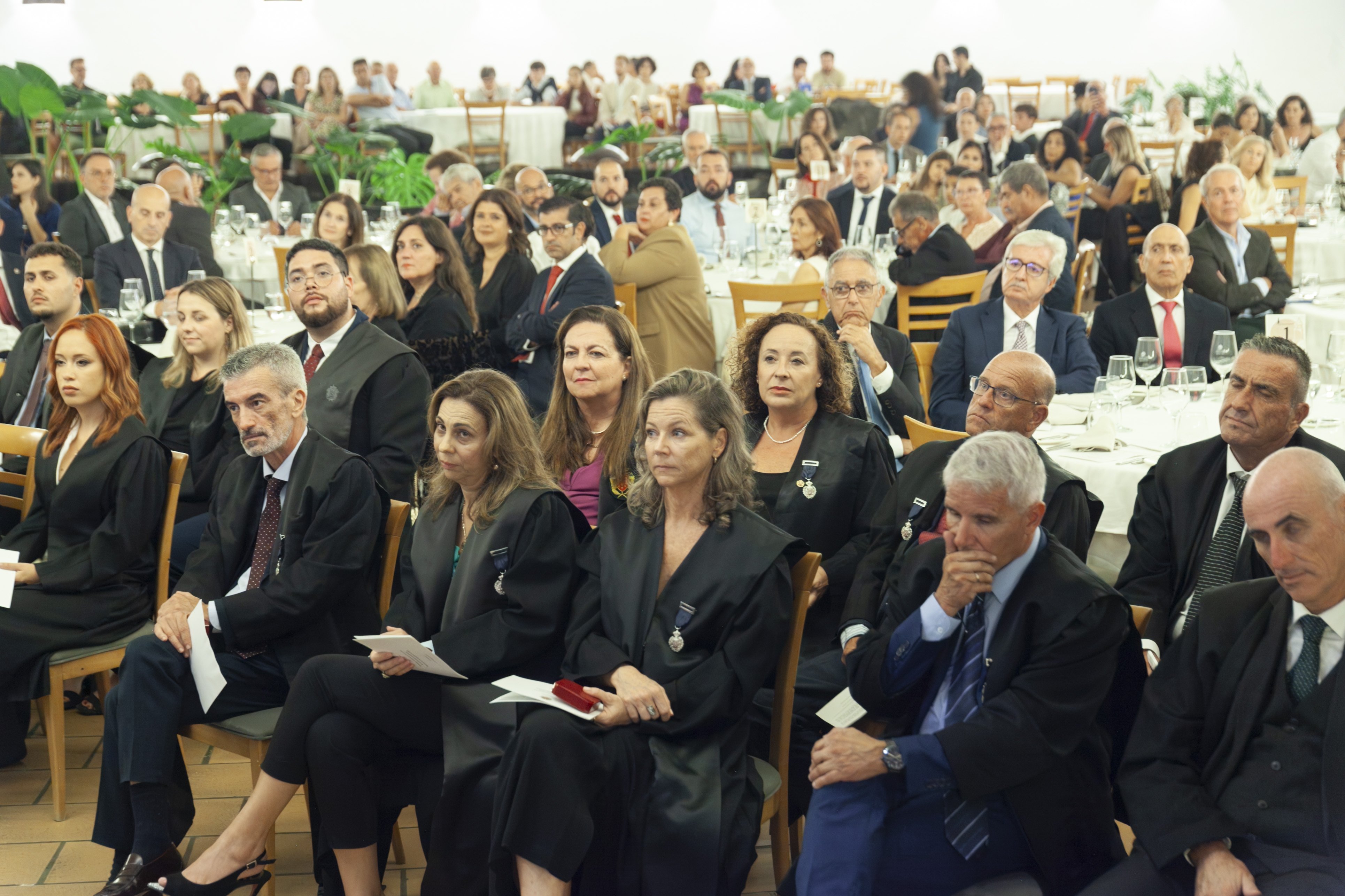 Jura de nuevos letrados y medallas del Colegio de Abogacía de Lanzarote (Fotos: Juan Mateos) Jura de nuevos letrados y medallas del Colegio de Abogacía de Lanzarote (Fotos: Juan Mateos)