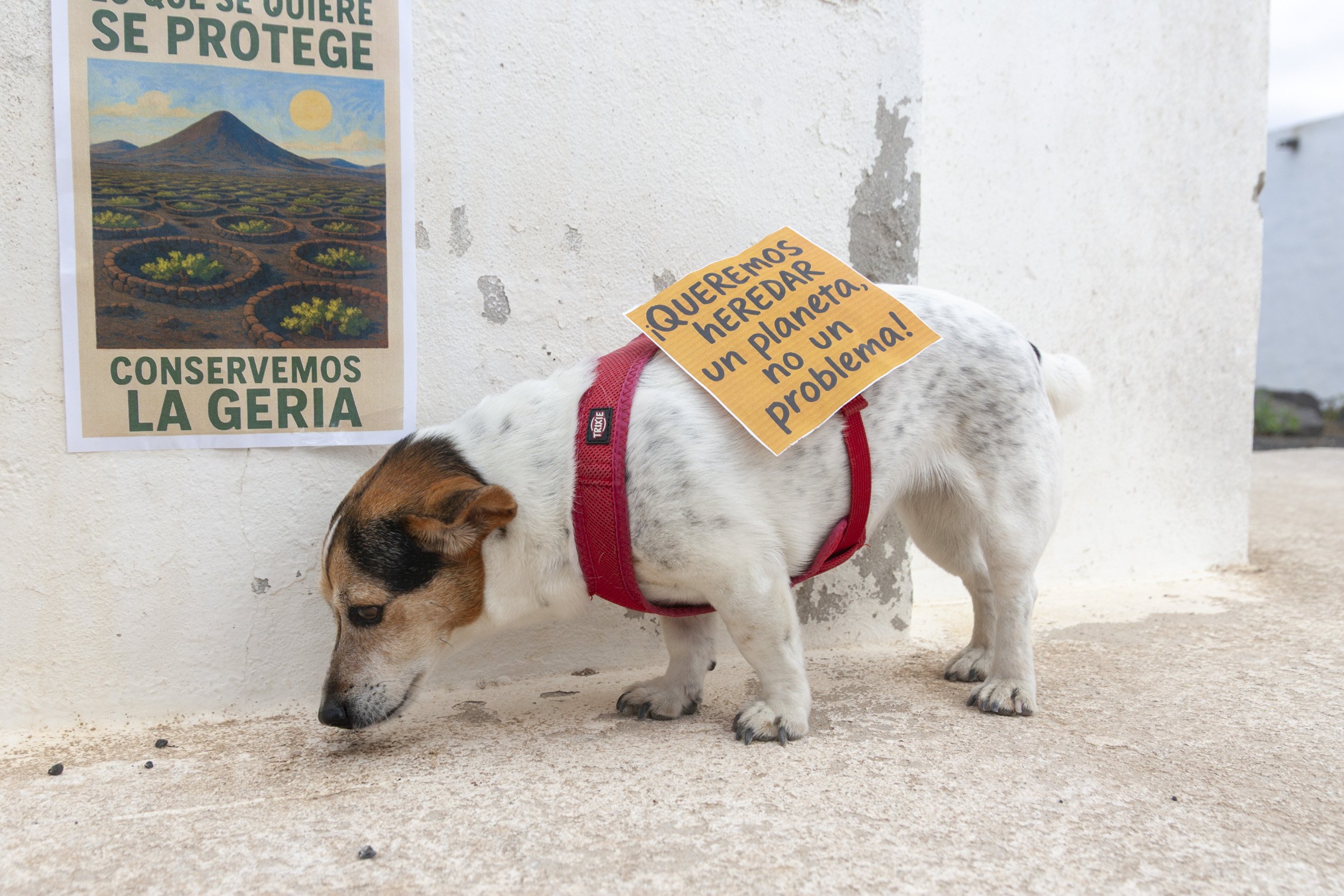 Manifestación en contra de la antena en Masdache (Fotos: Juan Mateos) Manifestación en contra de la antena en Masdache (Fotos: Juan Mateos)