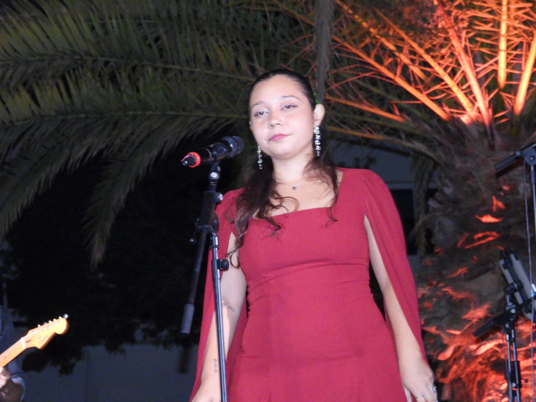 V Festival de la canción de Altavista, 2025 V Festival de la canción de Altavista, 2025