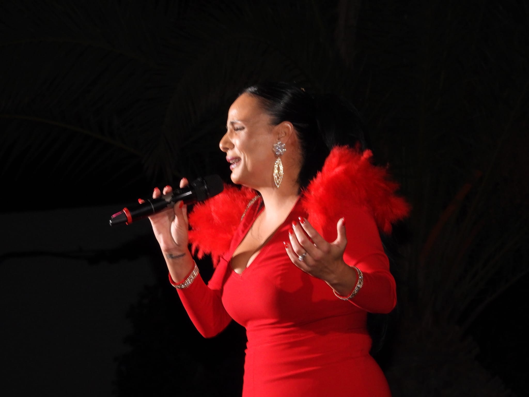 V Festival de la canción de Altavista, 2025 V Festival de la canción de Altavista, 2025