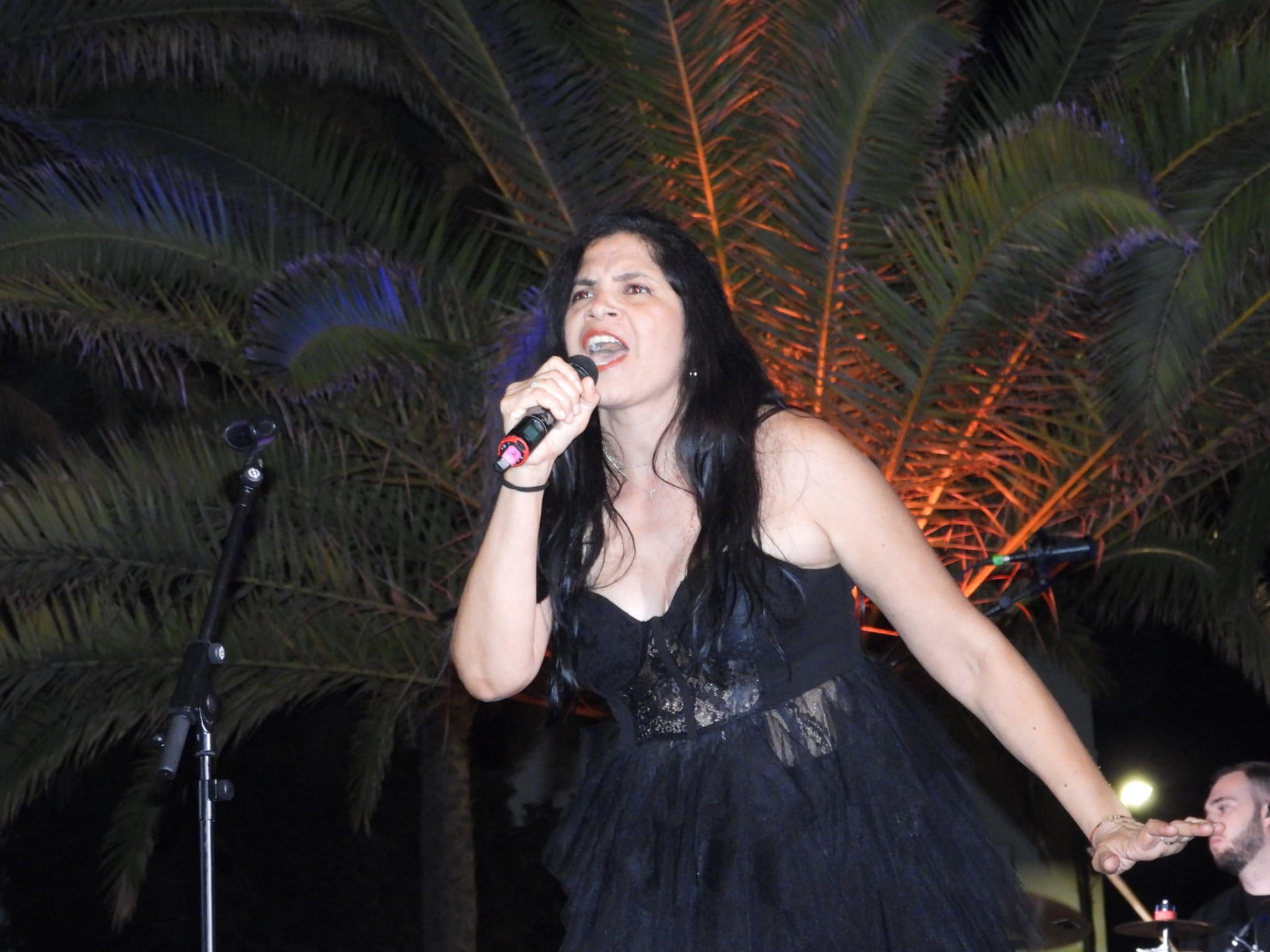 V Festival de la canción de Altavista, 2025 V Festival de la canción de Altavista, 2025