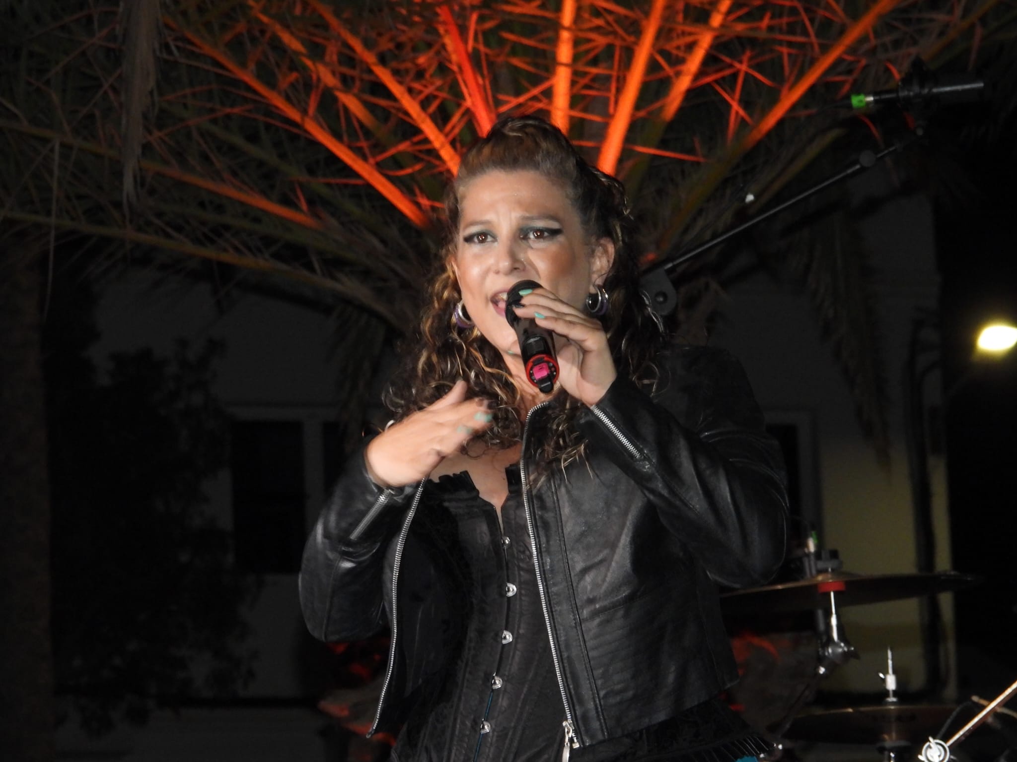 V Festival de la canción de Altavista, 2025 V Festival de la canción de Altavista, 2025