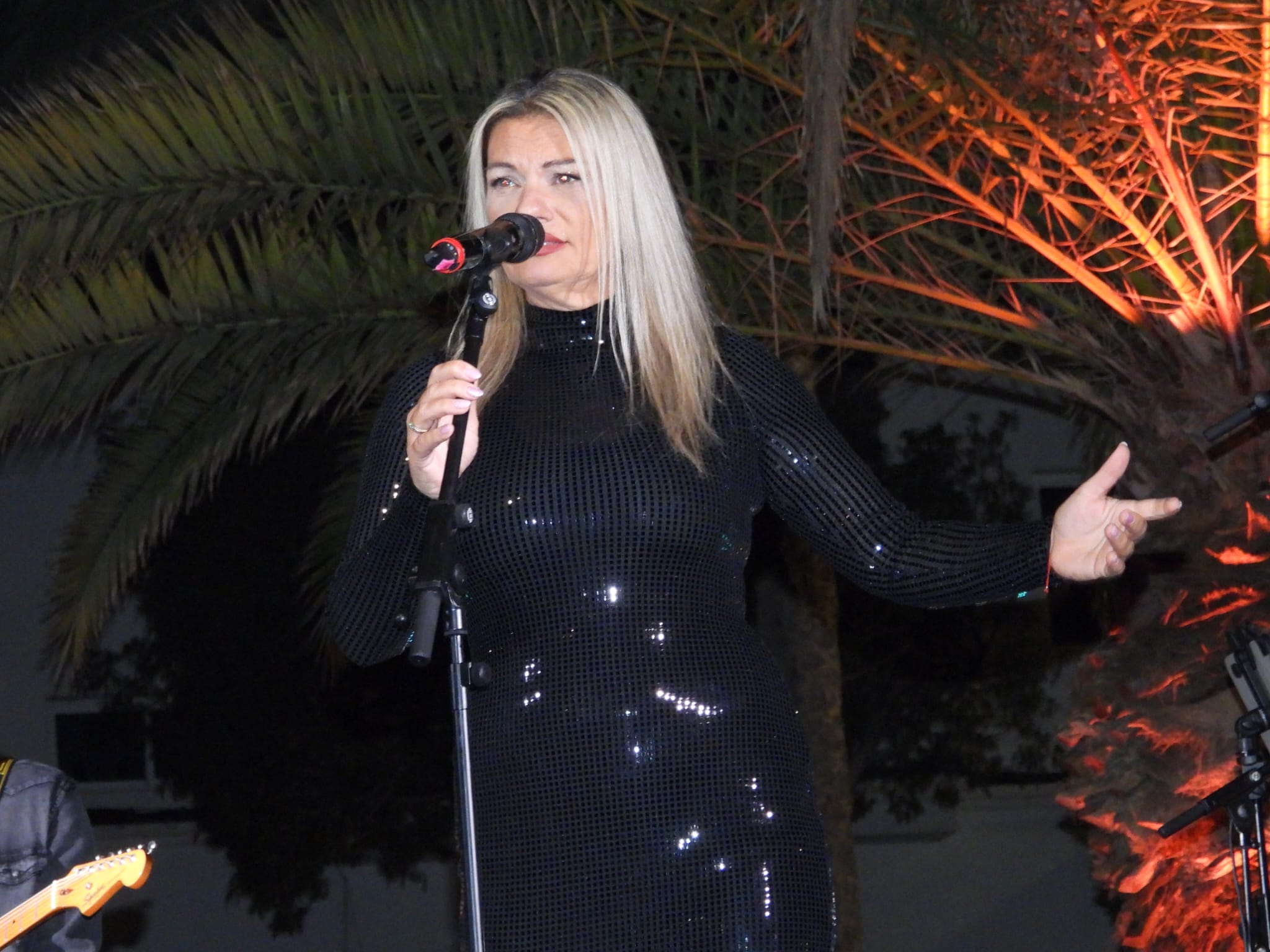 V Festival de la canción de Altavista, 2025 V Festival de la canción de Altavista, 2025