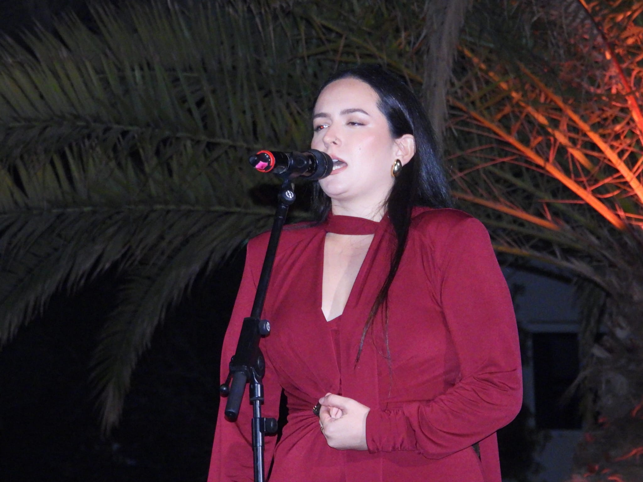 V Festival de la canción de Altavista, 2025 V Festival de la canción de Altavista, 2025