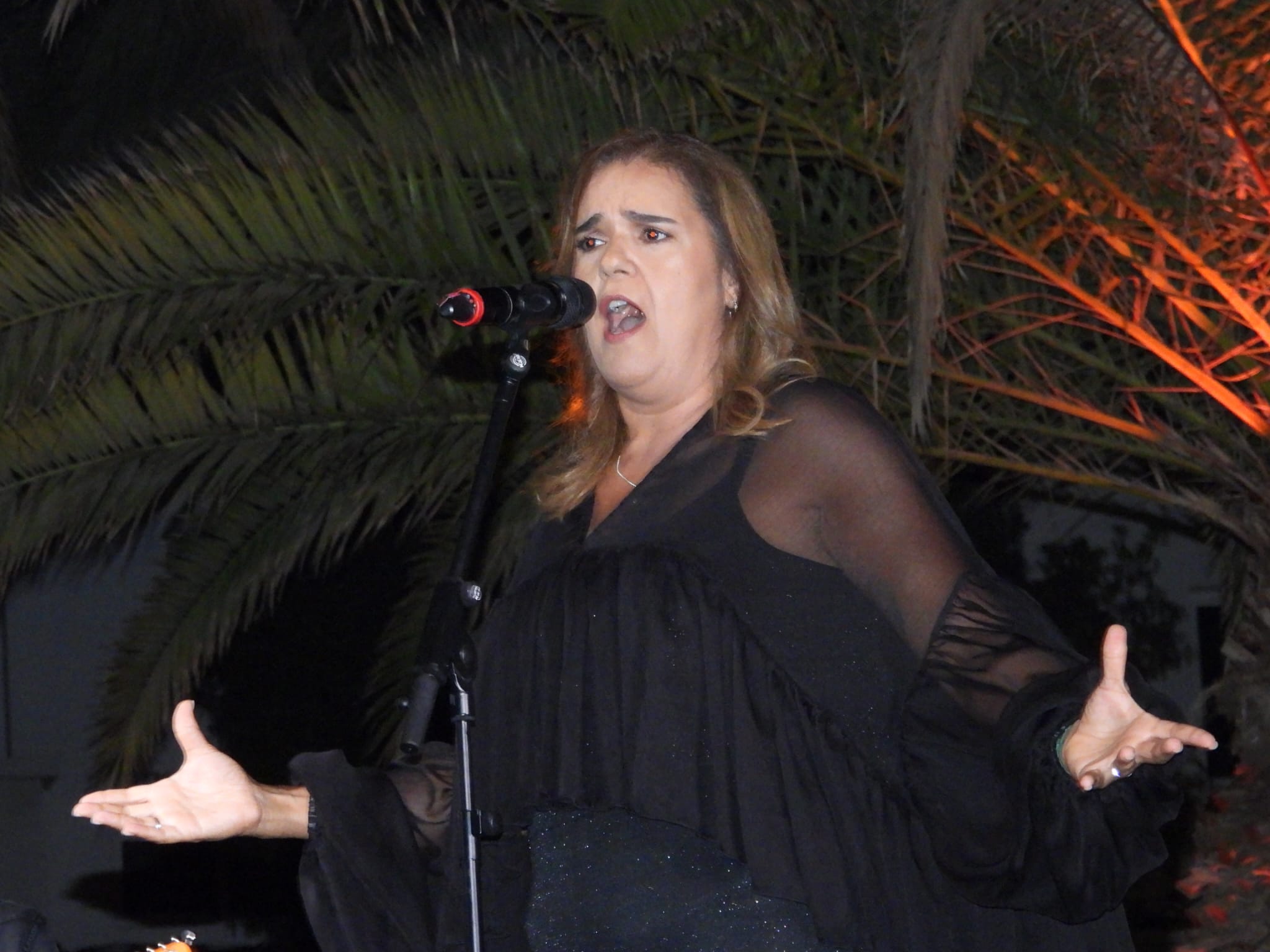 V Festival de la canción de Altavista, 2025 V Festival de la canción de Altavista, 2025