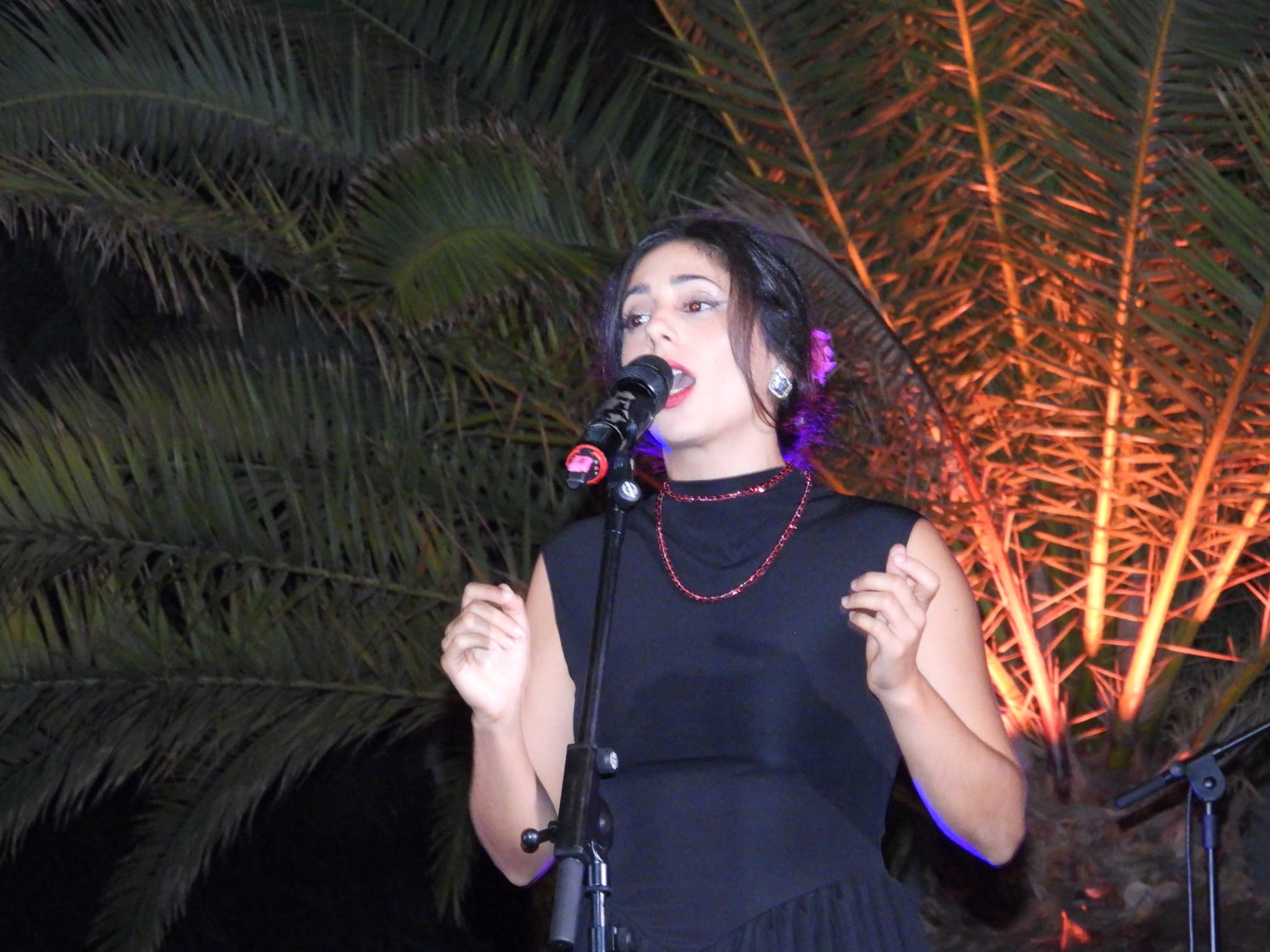 V Festival de la canción de Altavista, 2025 V Festival de la canción de Altavista, 2025