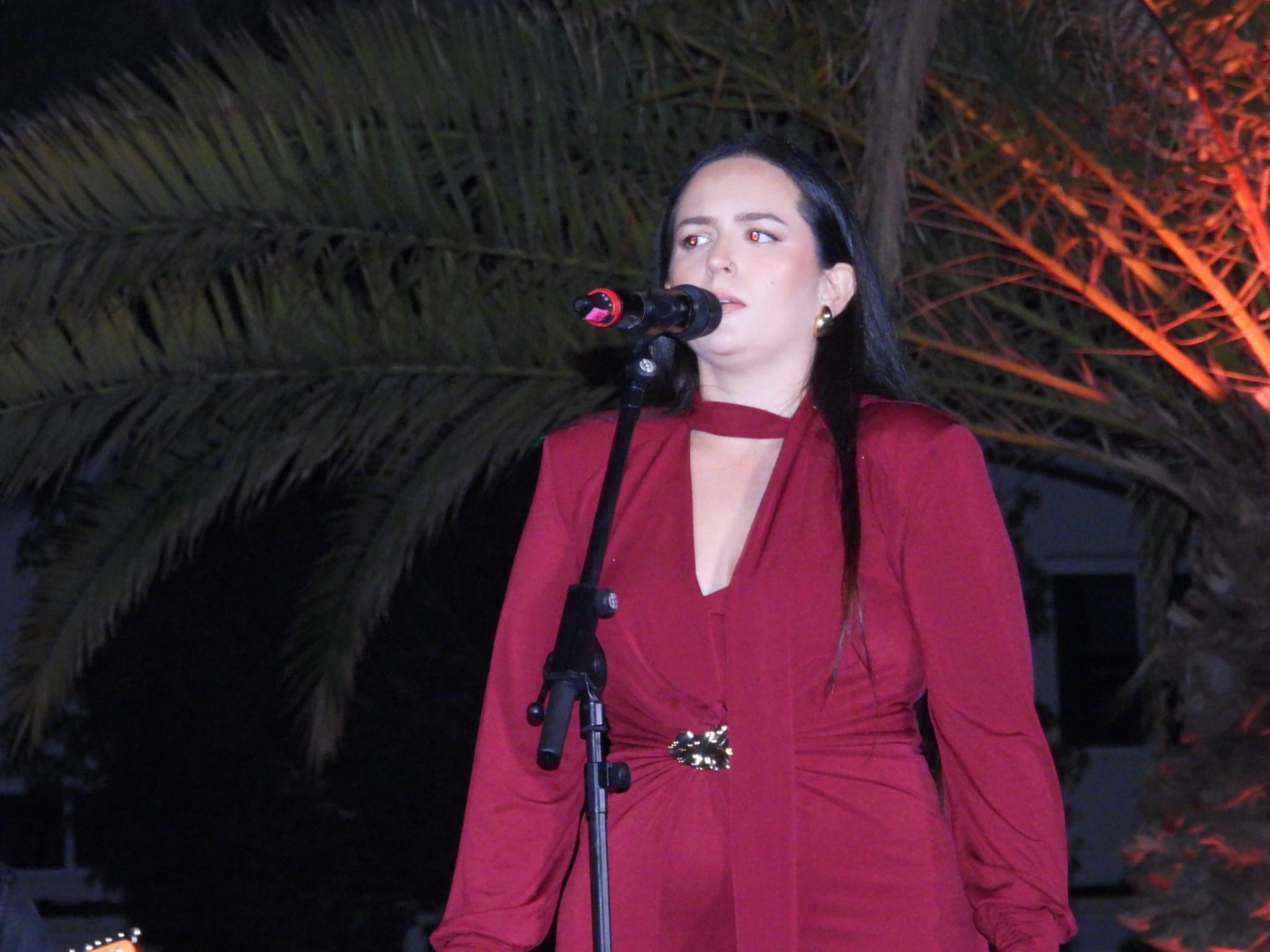 V Festival de la canción de Altavista, 2025 V Festival de la canción de Altavista, 2025