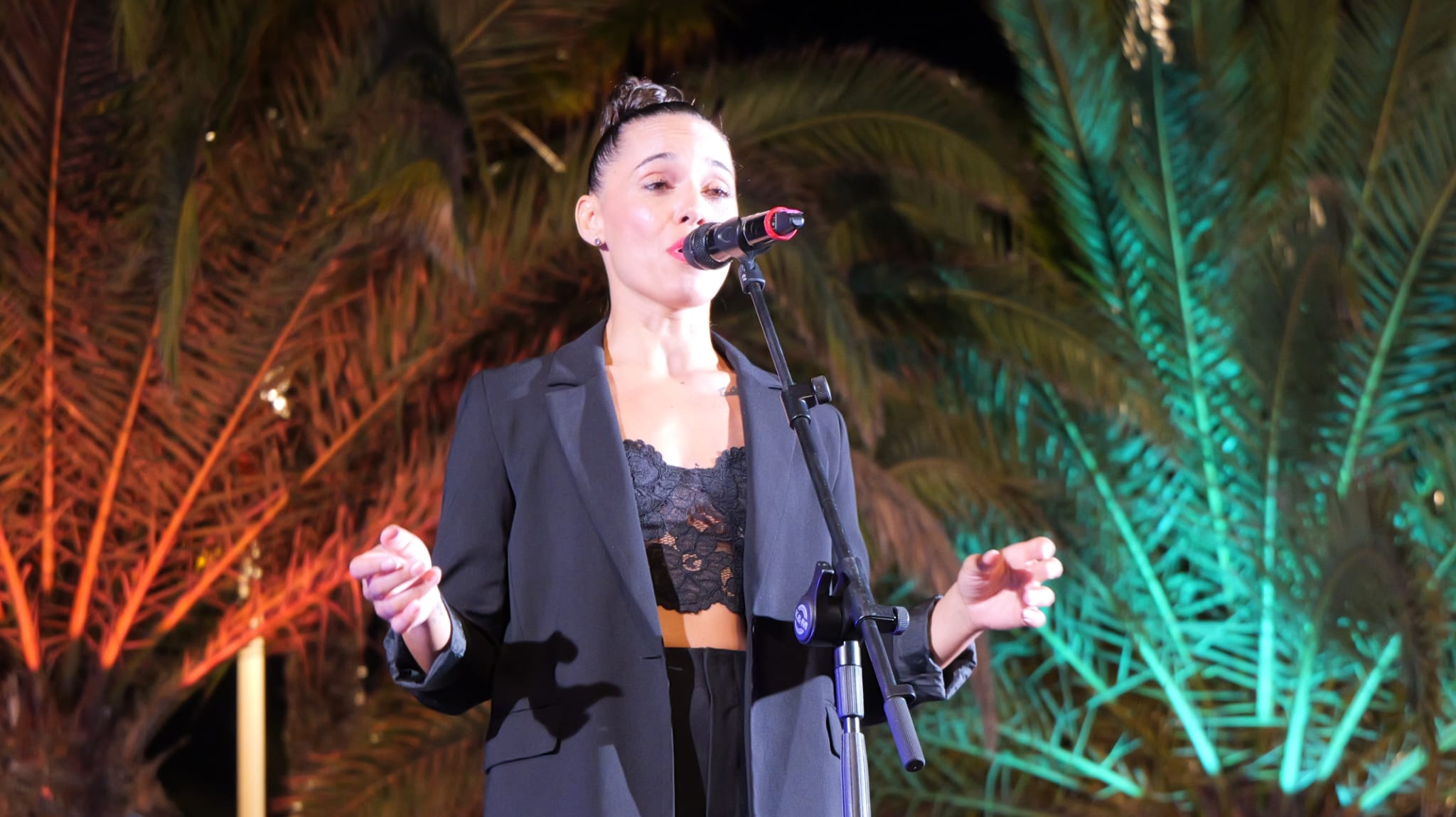 Fiestas de Altavista 2025 Fiestas de Altavista 2025