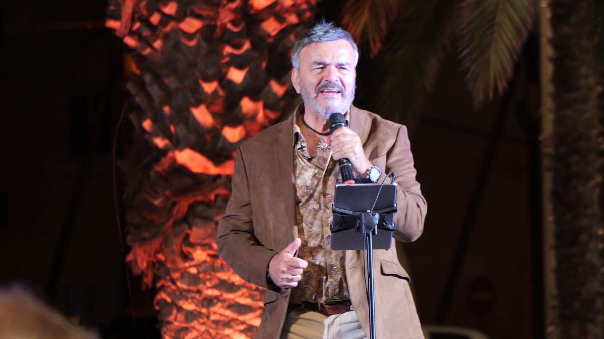 Fiestas de Altavista 2025 Fiestas de Altavista 2025