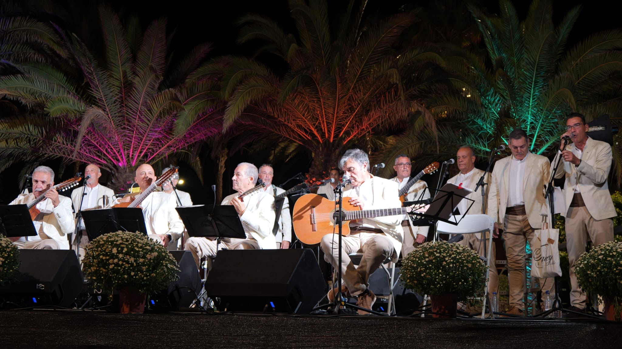 Fiestas de Altavista 2025 Fiestas de Altavista 2025