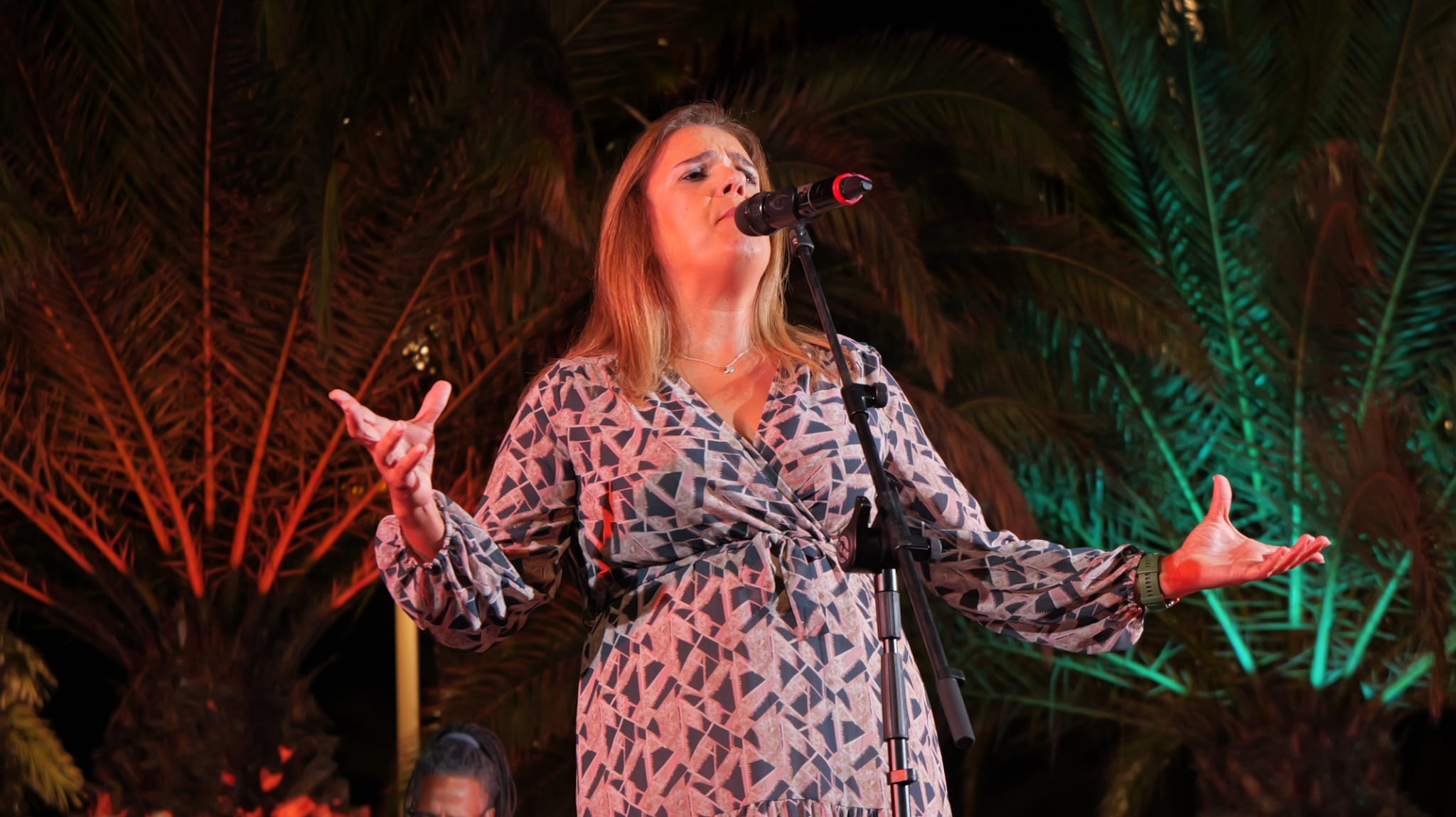 Fiestas de Altavista 2025 Fiestas de Altavista 2025