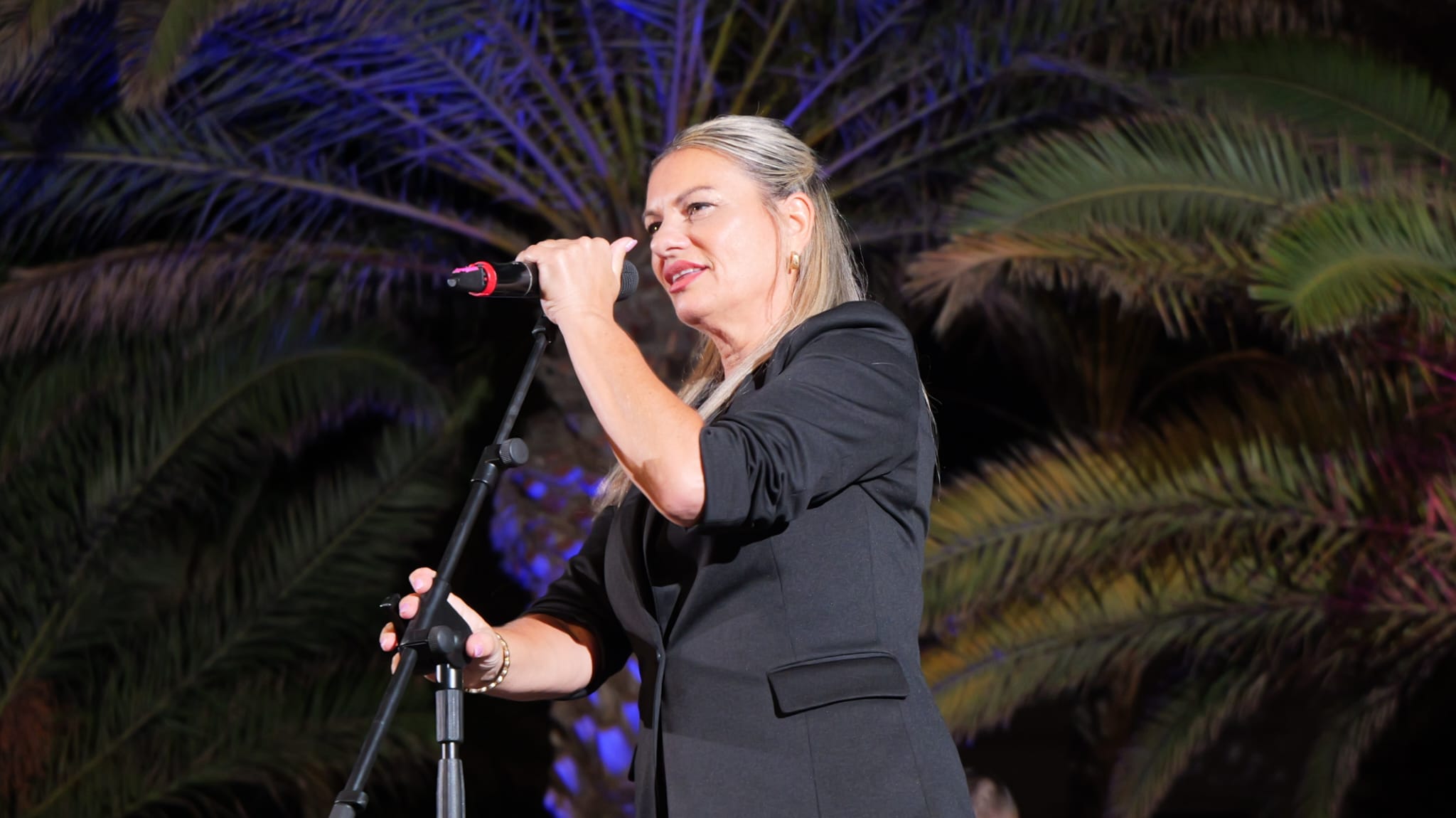 Fiestas de Altavista 2025 Fiestas de Altavista 2025