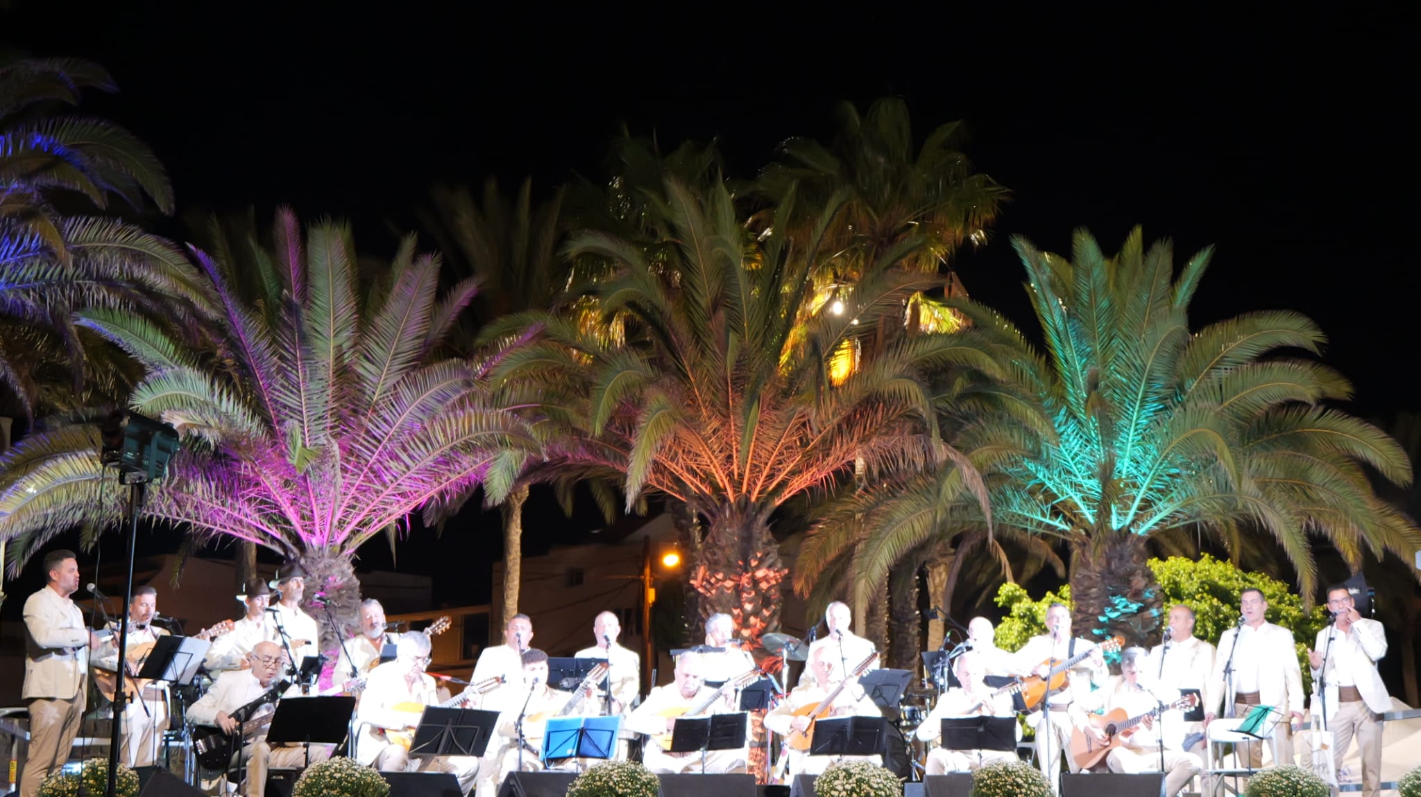 Fiestas de Altavista 2025 Fiestas de Altavista 2025