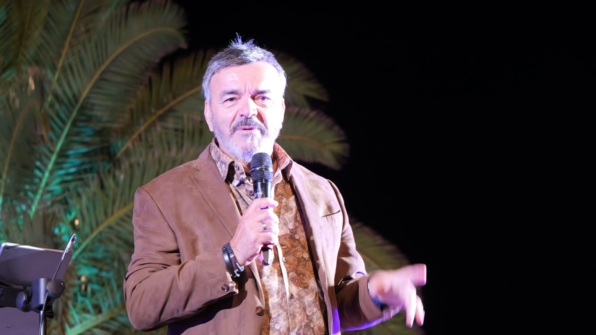 Fiestas de Altavista 2025 Fiestas de Altavista 2025