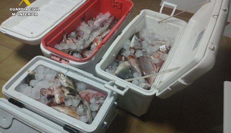 100 kilos of fish seized 100 kilos of fish seized
