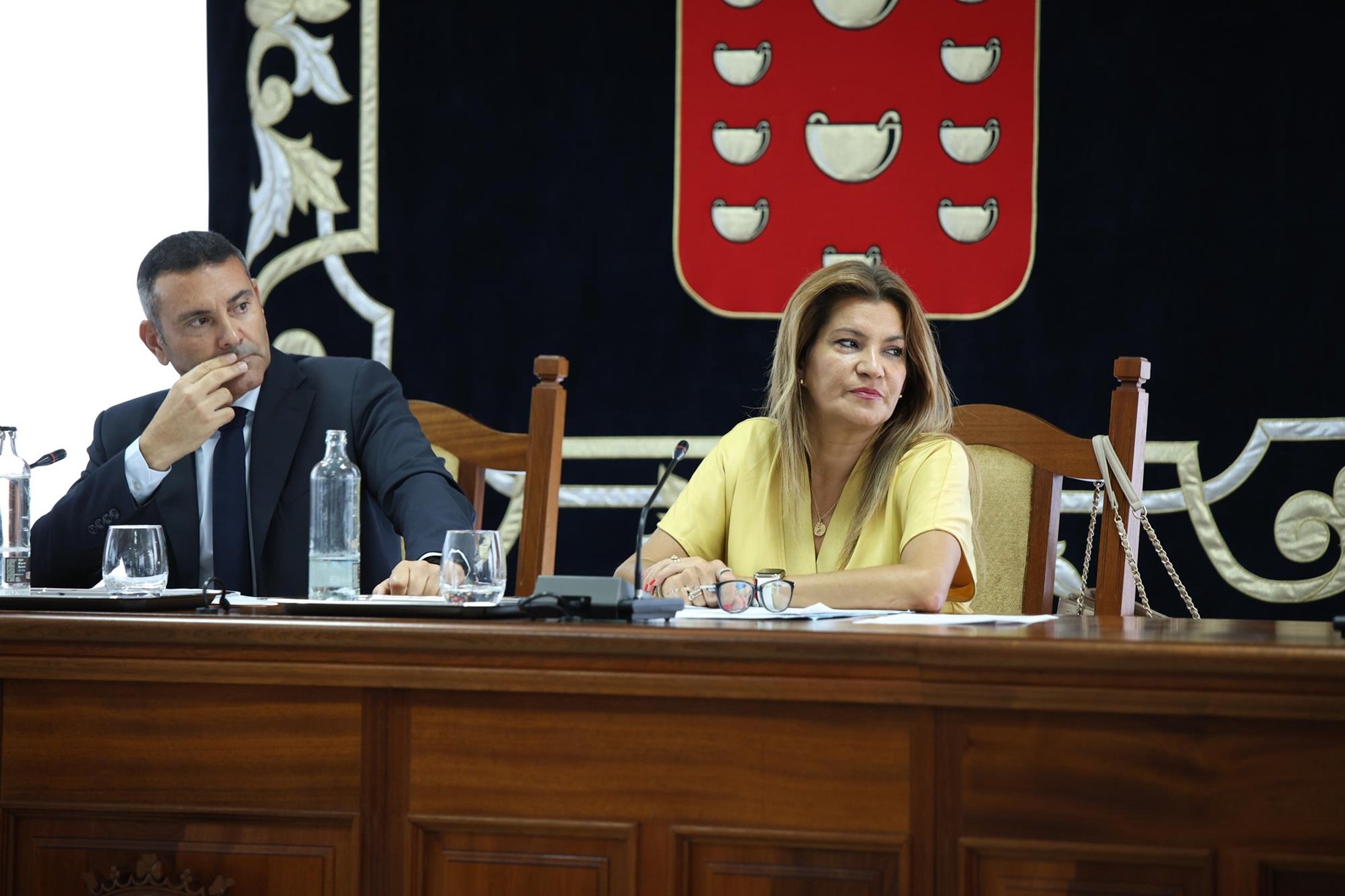 Pleno ordinario del Cabildo de Lanzarote de julio
