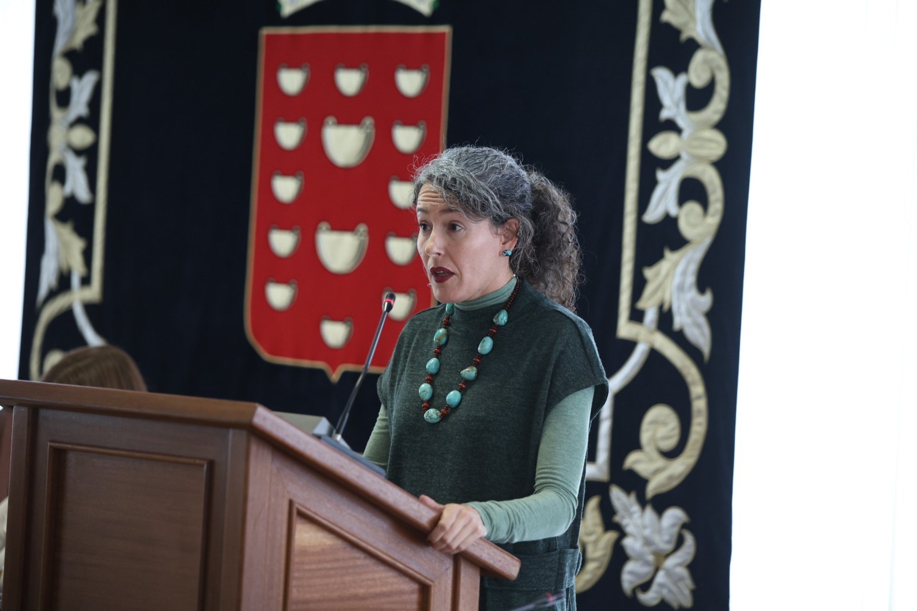 La portavoz del Grupo Socialista, Ariagona González.