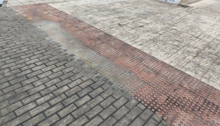 IMG 20251117 085322ggg