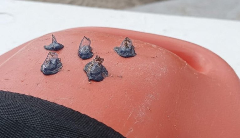 WhatsApp Image 2025 11 20 at 1.38.43 PMccc