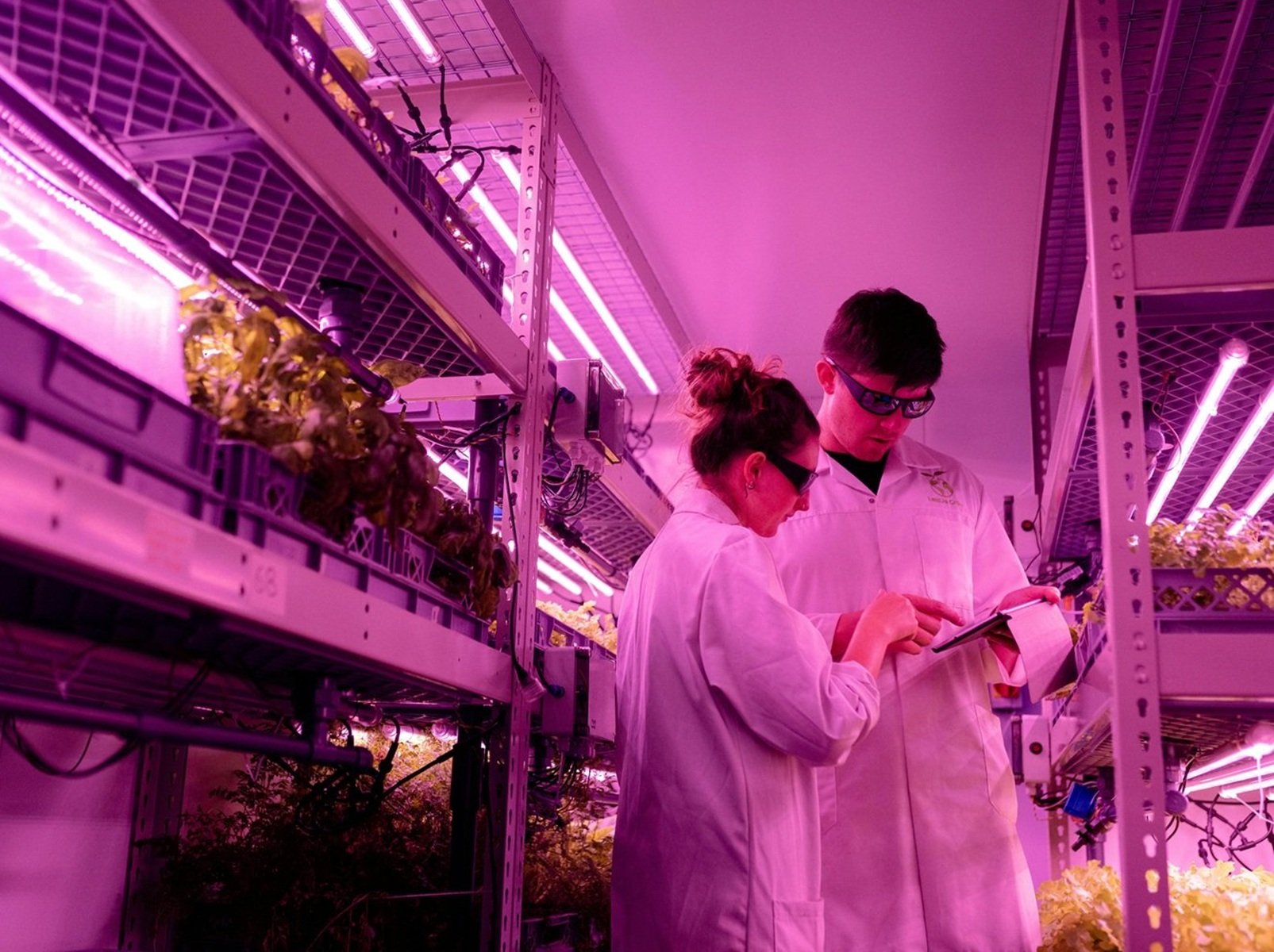 Empresa agrícola con fuerte implantación de I+D+i