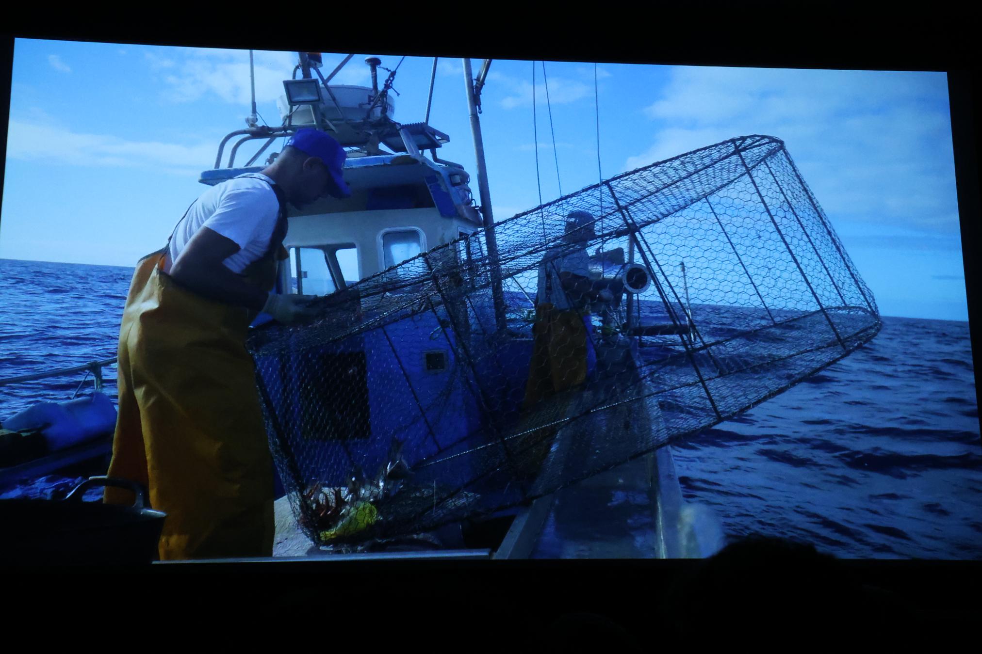 Proyección del documental ‘Manos de Sal’ Proyección del documental ‘Manos de Sal’