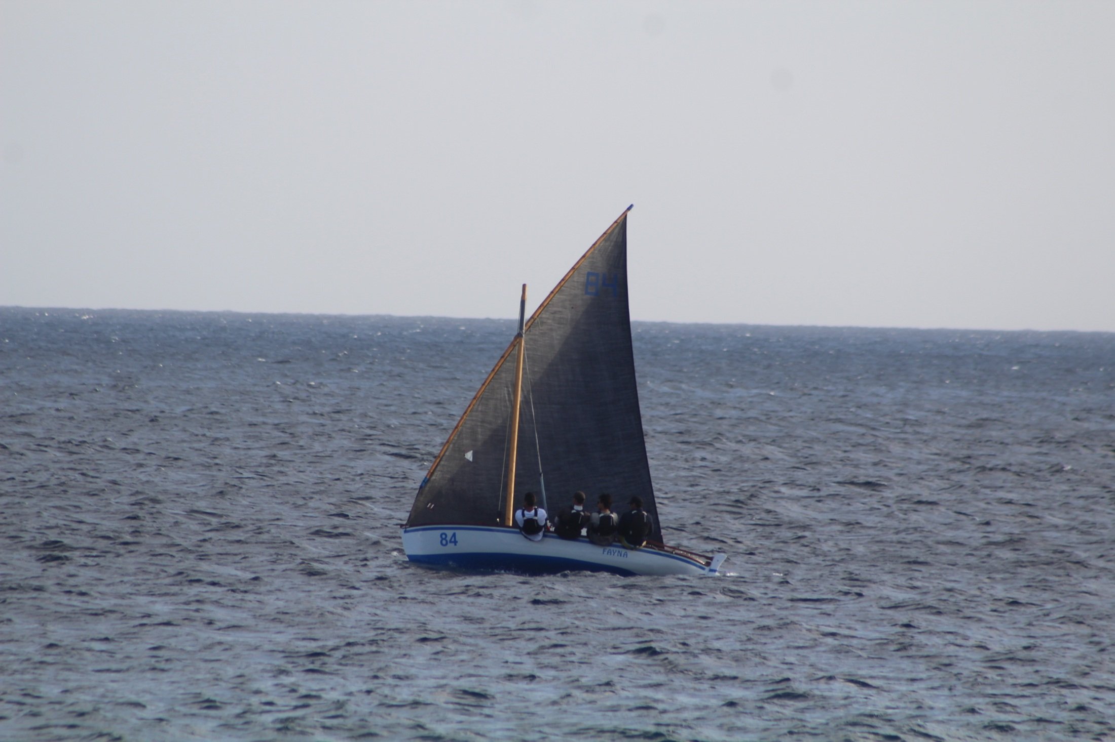 Campeonato de Patrones Noveles