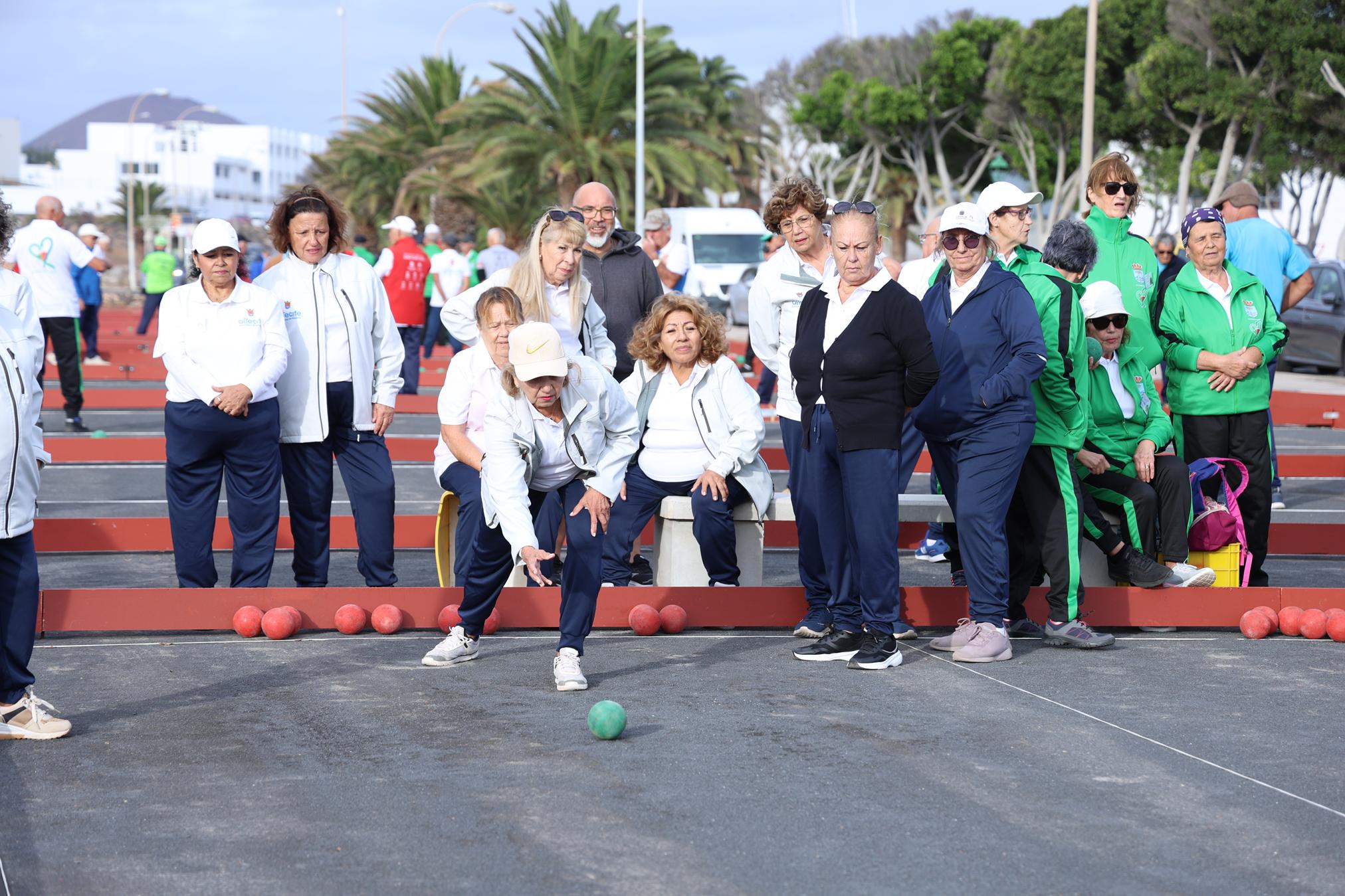 XXIV TORNEO ABUELOS CONEJEROS 2025 (20) XXIV TORNEO ABUELOS CONEJEROS 2025 (20)
