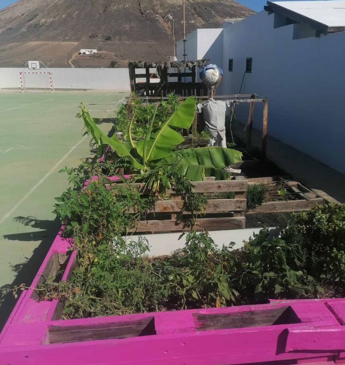 Huertos 'Colegios de la Biosfera'