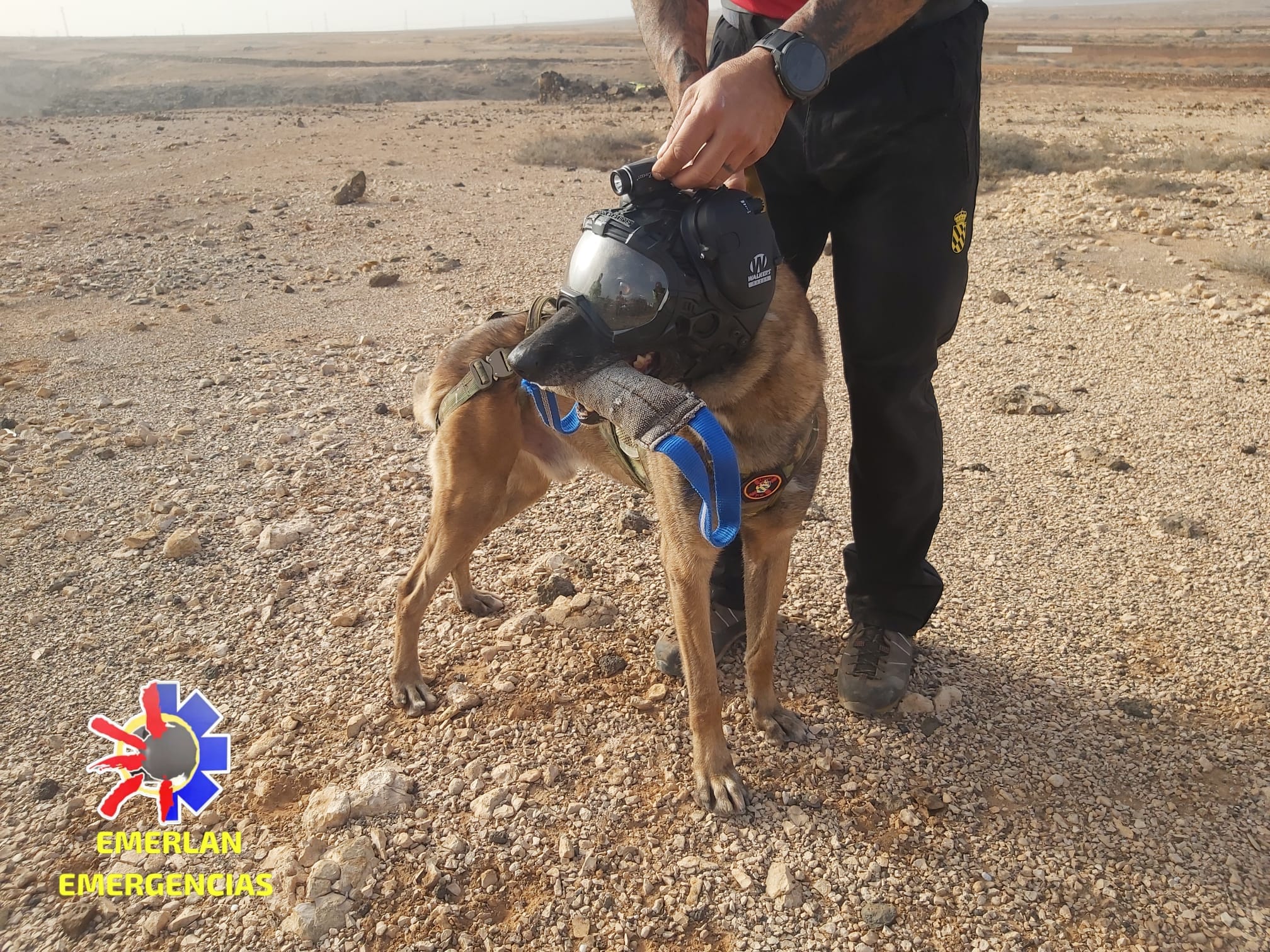 Emerlan, la UME y el GES llevan a cabo entrenamientos conjuntos en Fuerteventura Emerlan, la UME y el GES llevan a cabo entrenamientos conjuntos en Fuerteventura
