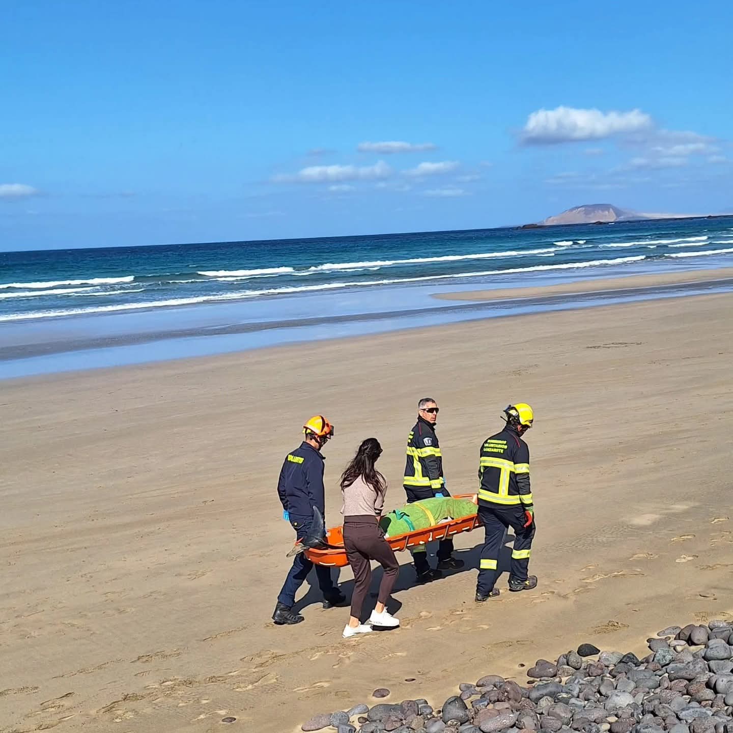 Efectivos de Emergencia recogiendo el delfín varado en Famara. Foto: SECAC.