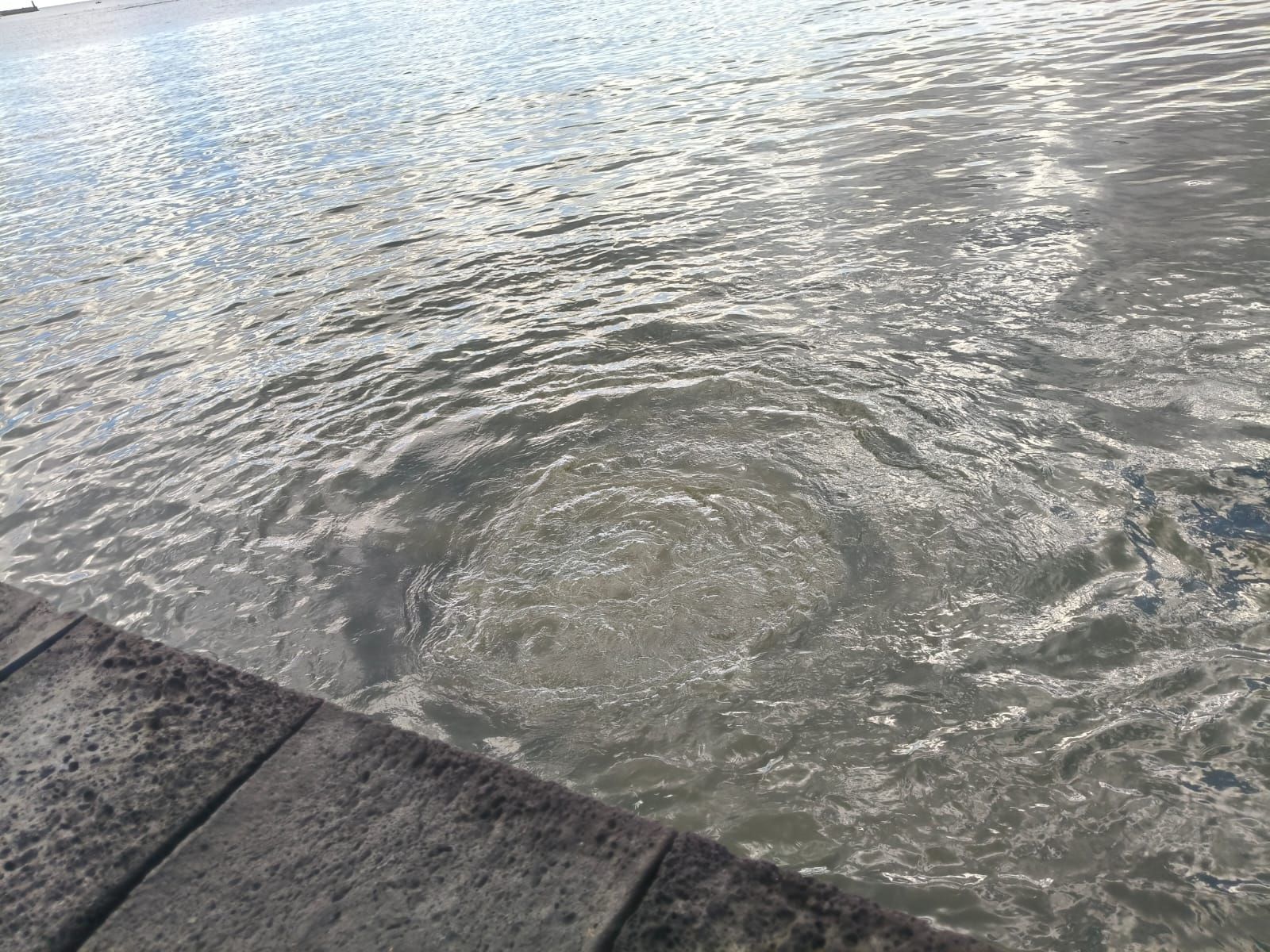 Imágenes cedidas por Andrés Medina 