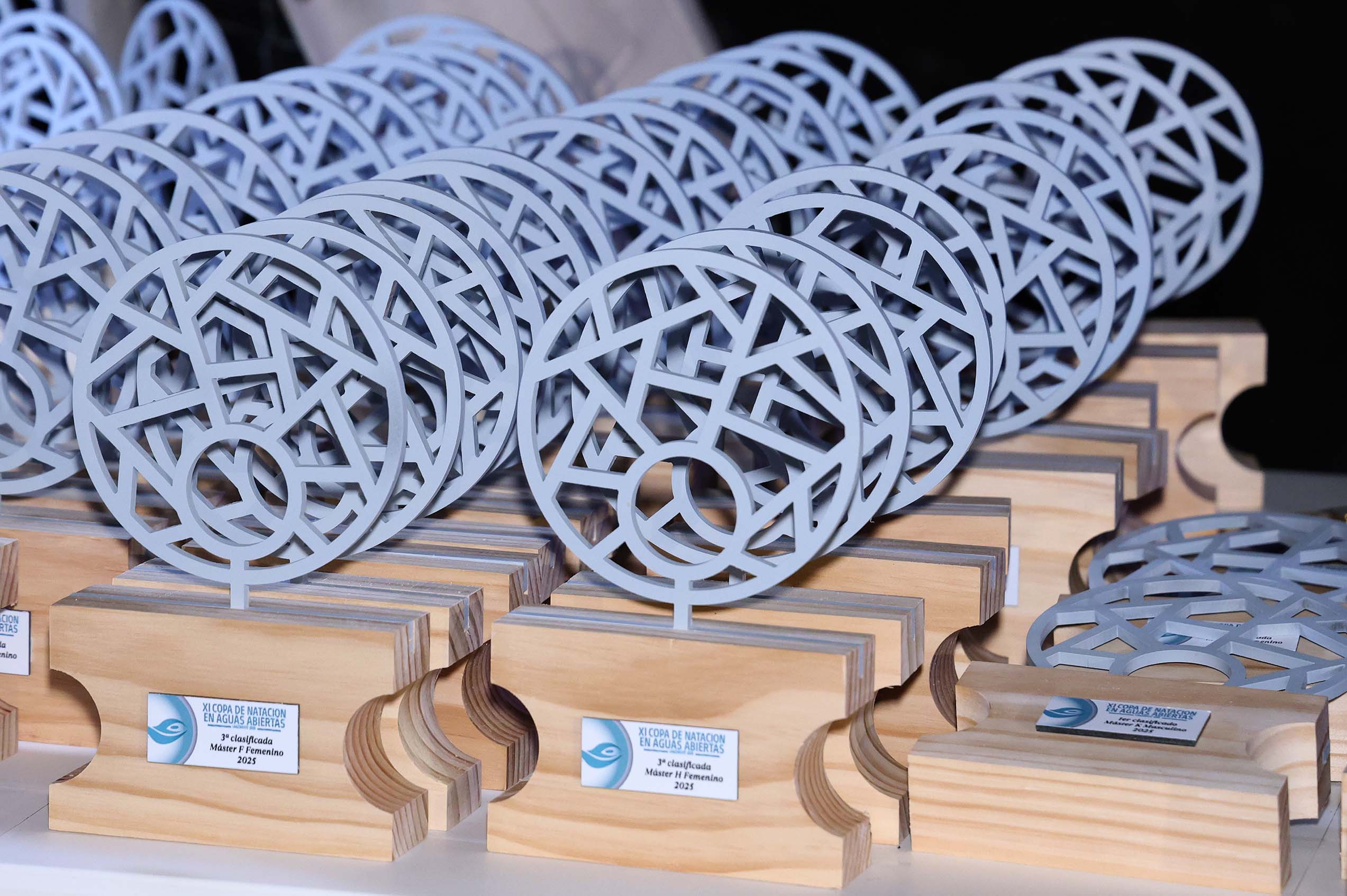 Clausura la XI Copa de Natación de Aguas Abiertas. Foto: La Voz