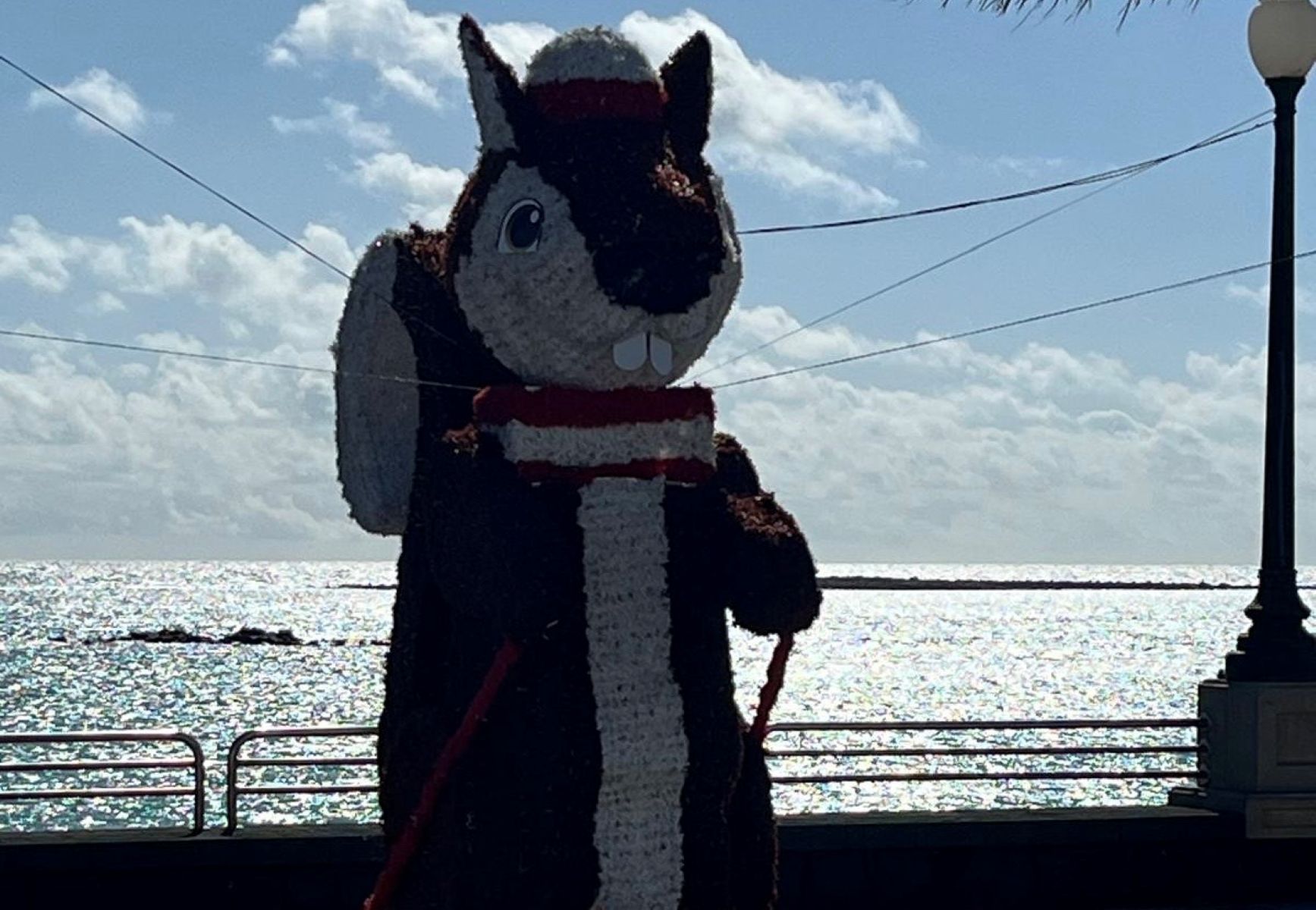 Iluminación navideña