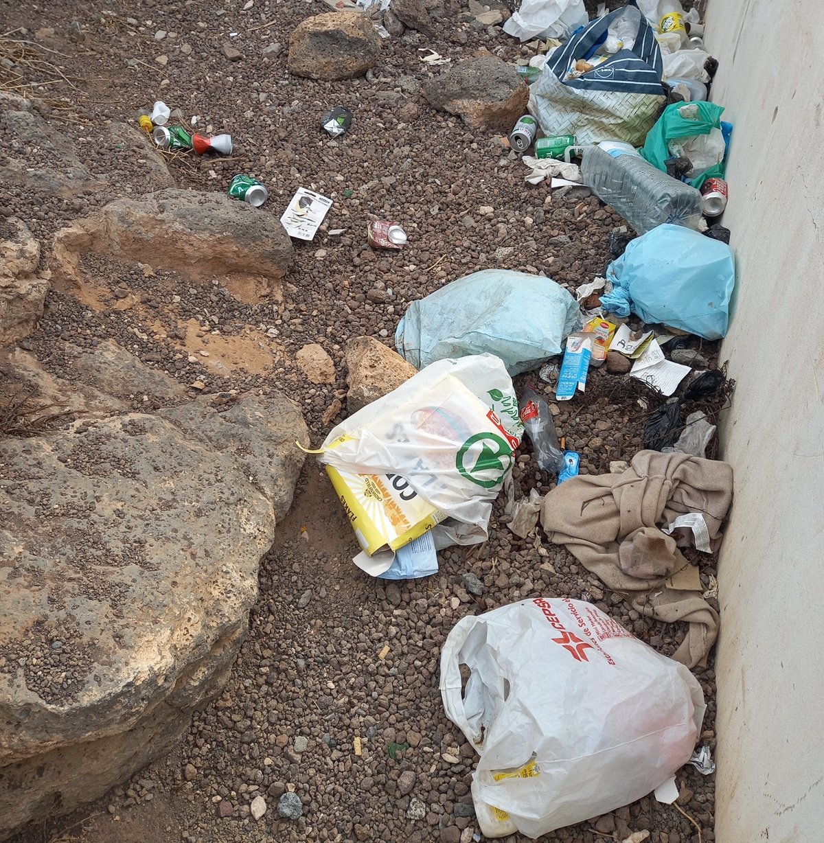 Basura y residuos en el solar