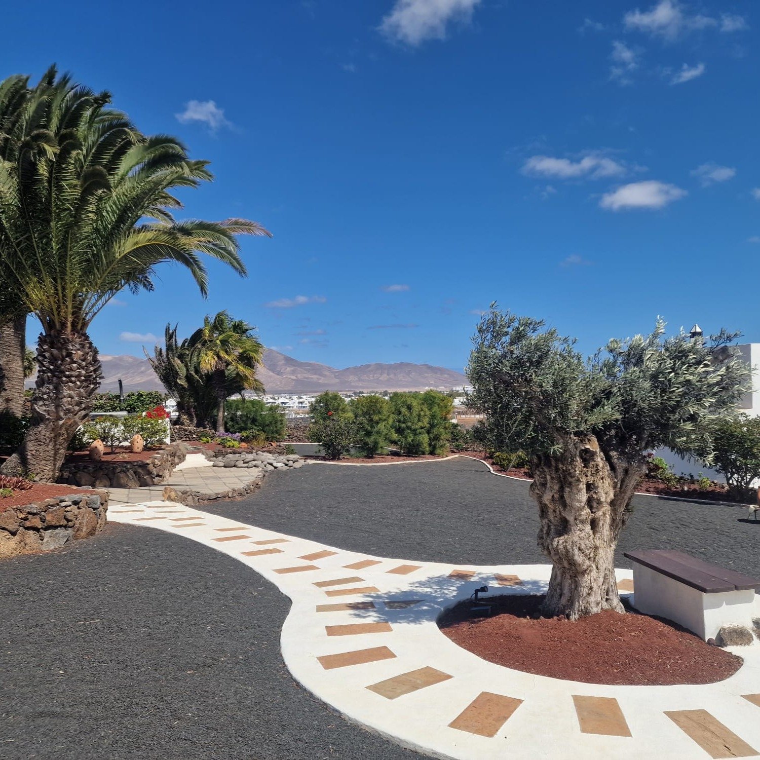 Imágenes de varios proyectos de Canariensis en Lanzarote