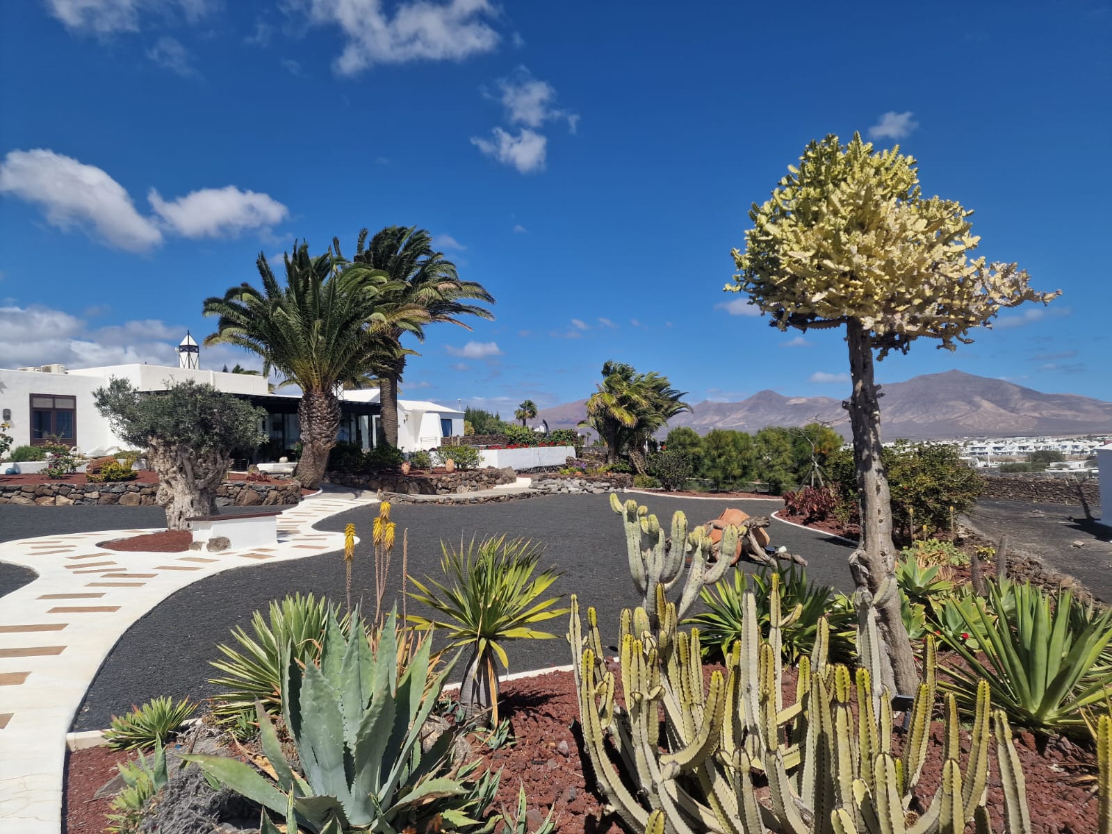 Imágenes de varios proyectos de Canariensis en Lanzarote