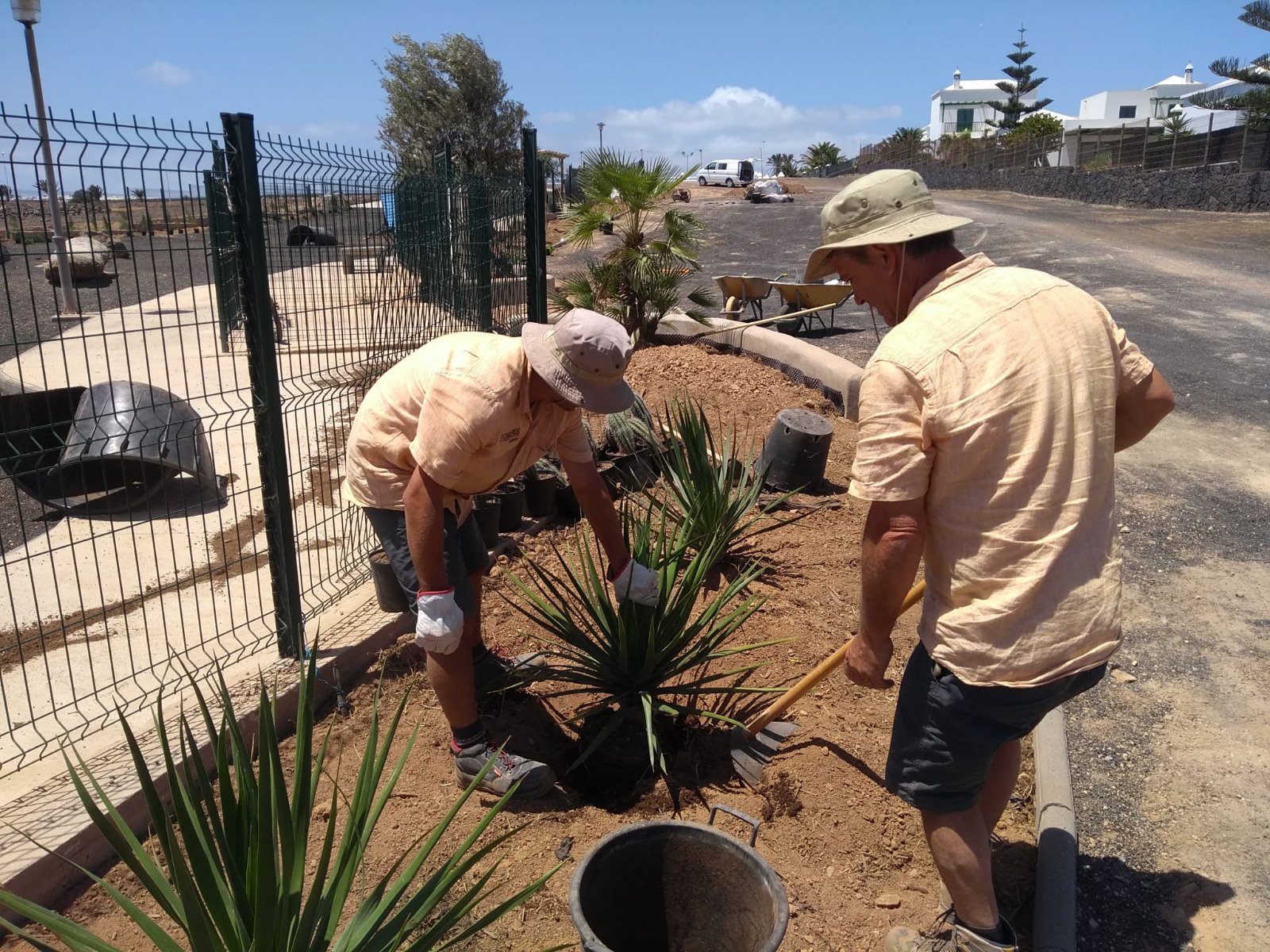 Imágenes de varios proyectos de Canariensis en Lanzarote