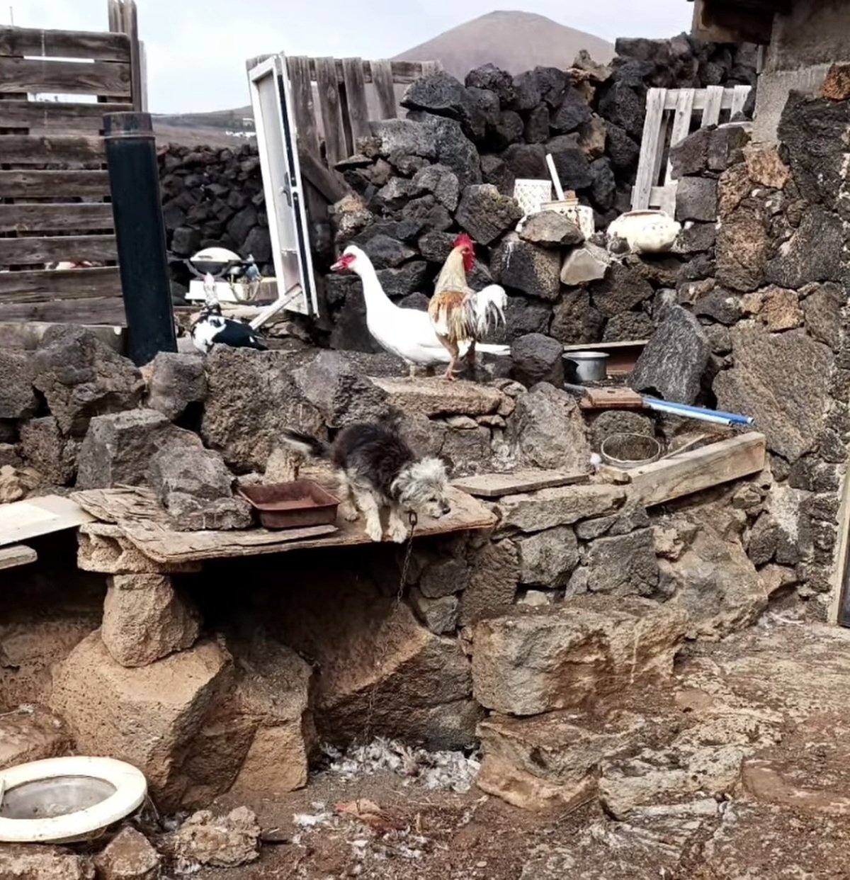 IMG 5693ff IMG 5693ff