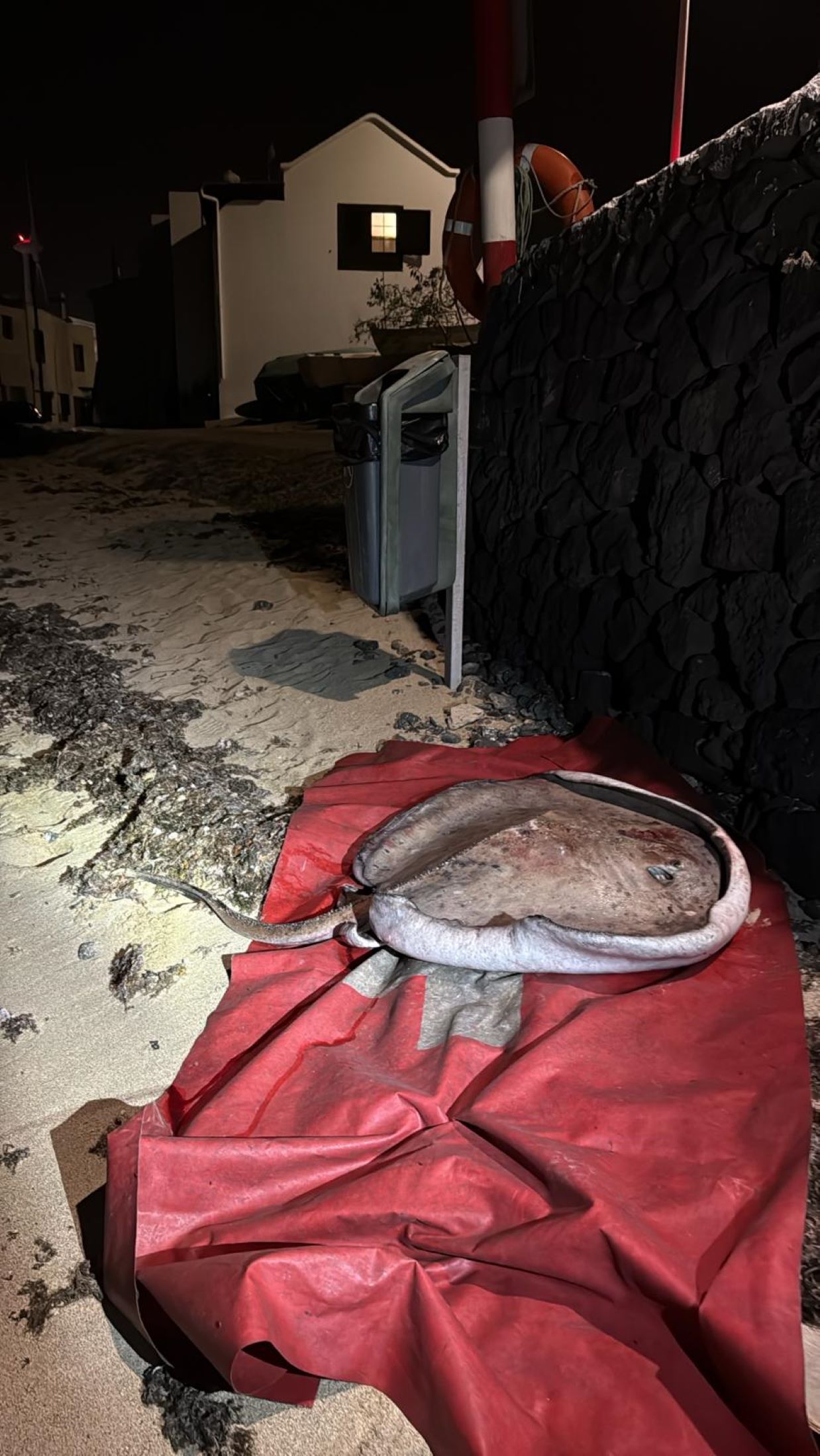 WhatsApp Image 2025 12 09 at 06.50.06