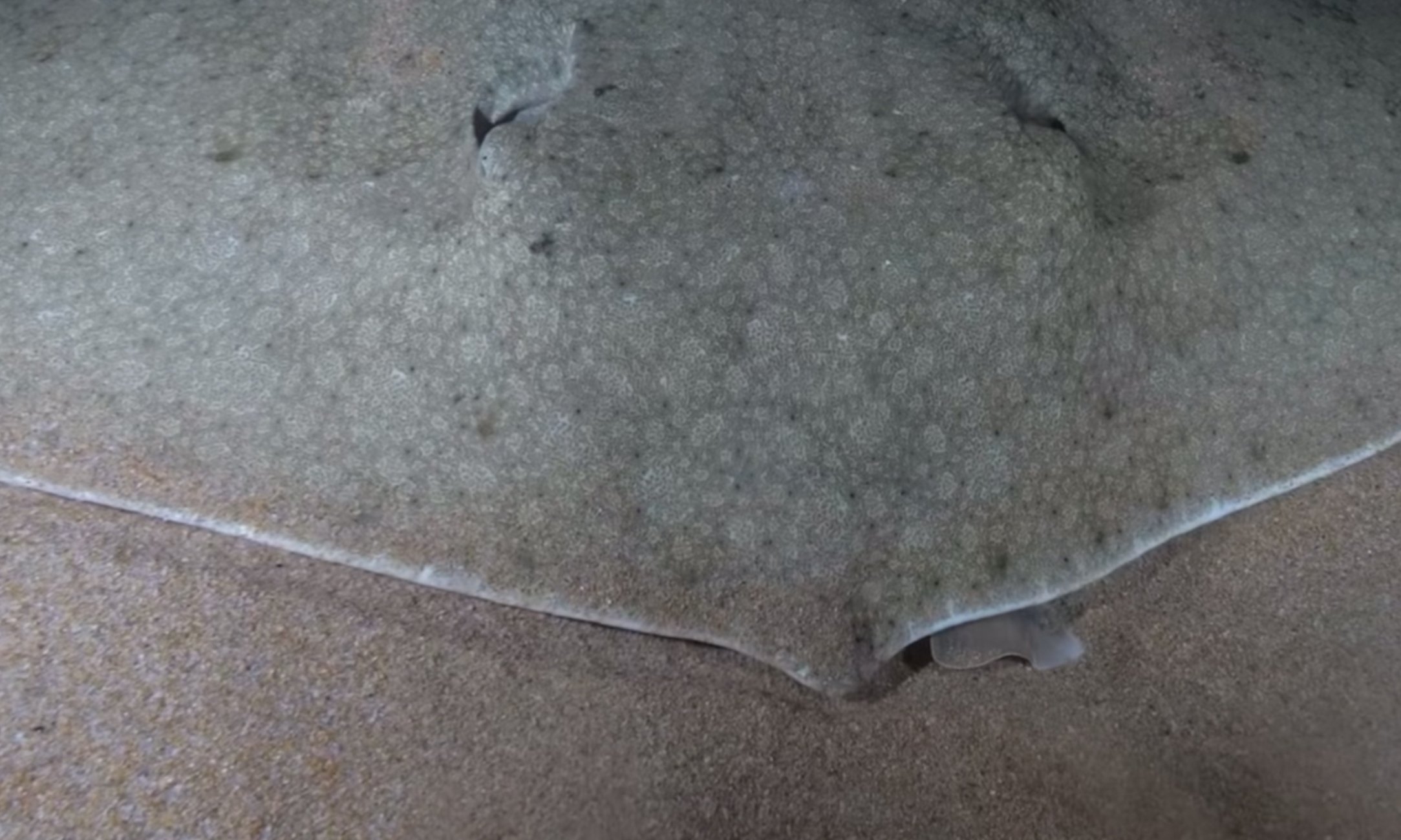 Captura de pantalla 2025 12 09 a las 17.00.12 Captura de pantalla 2025 12 09 a las 17.00.12