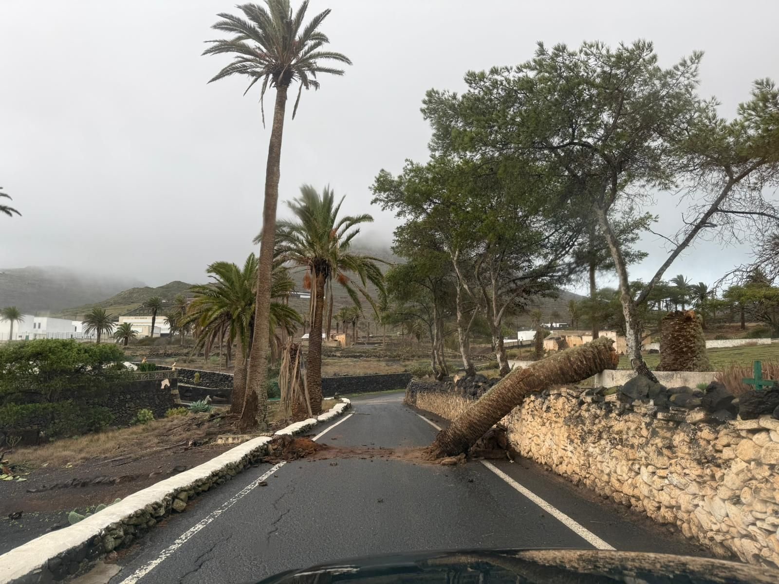 Borrasca Emilia Borrasca Emilia