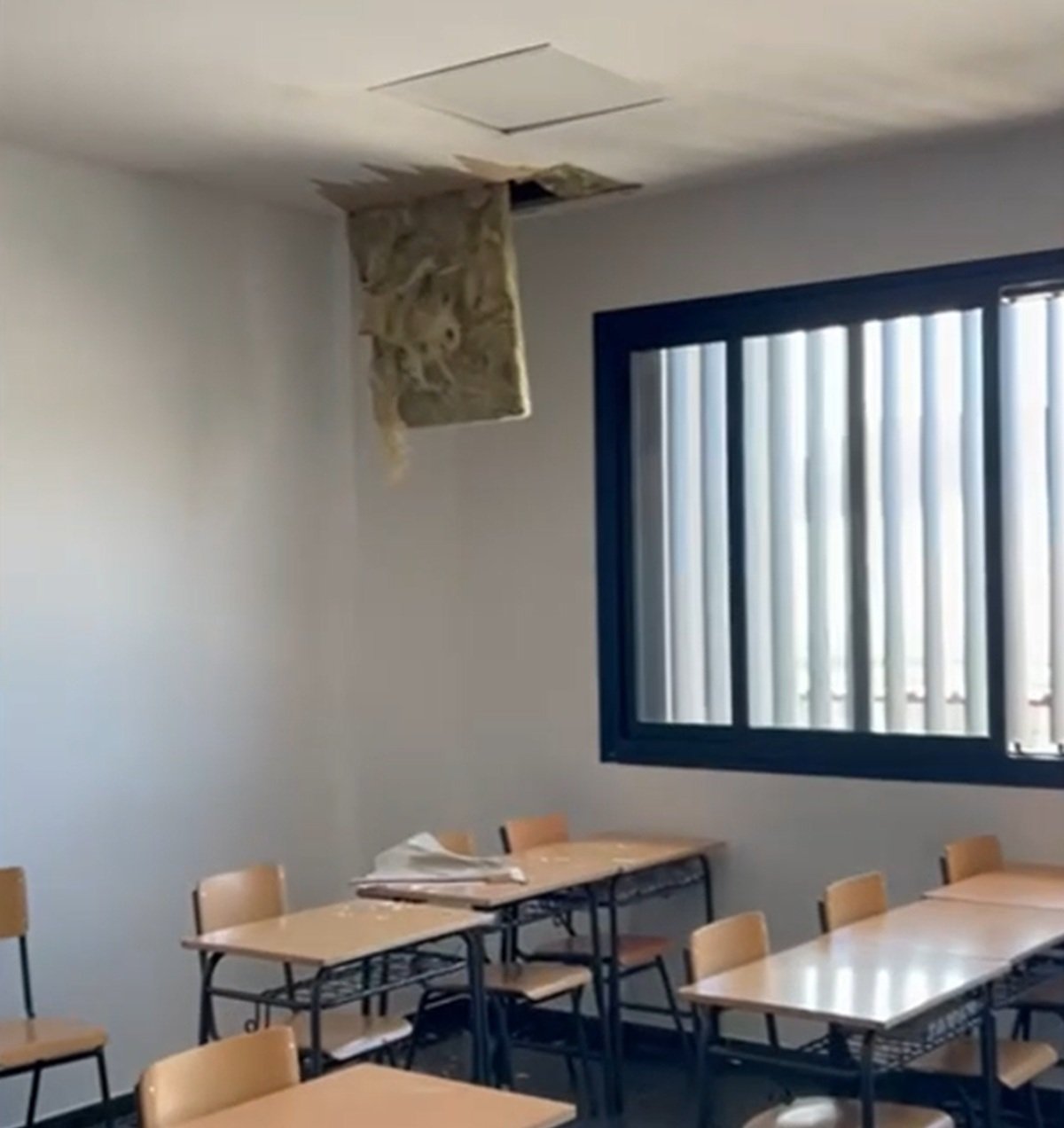 Captura de pantalla 2025 12 15 110850 Captura de pantalla 2025 12 15 110850