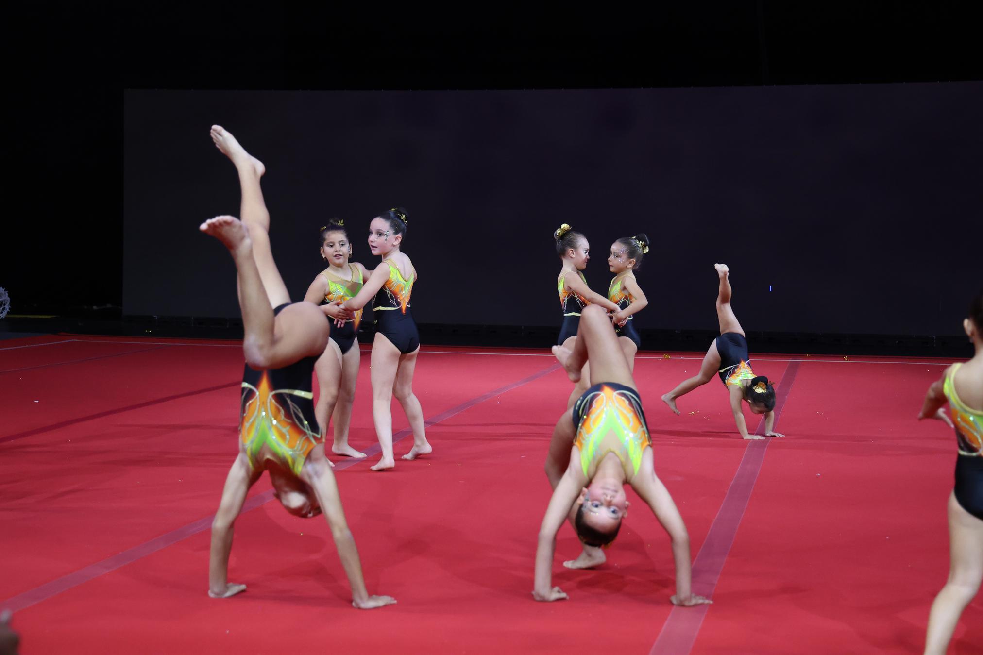 Festival de Gimnasia de Navidad. Foto: La Voz Festival de Gimnasia de Navidad. Foto: La Voz